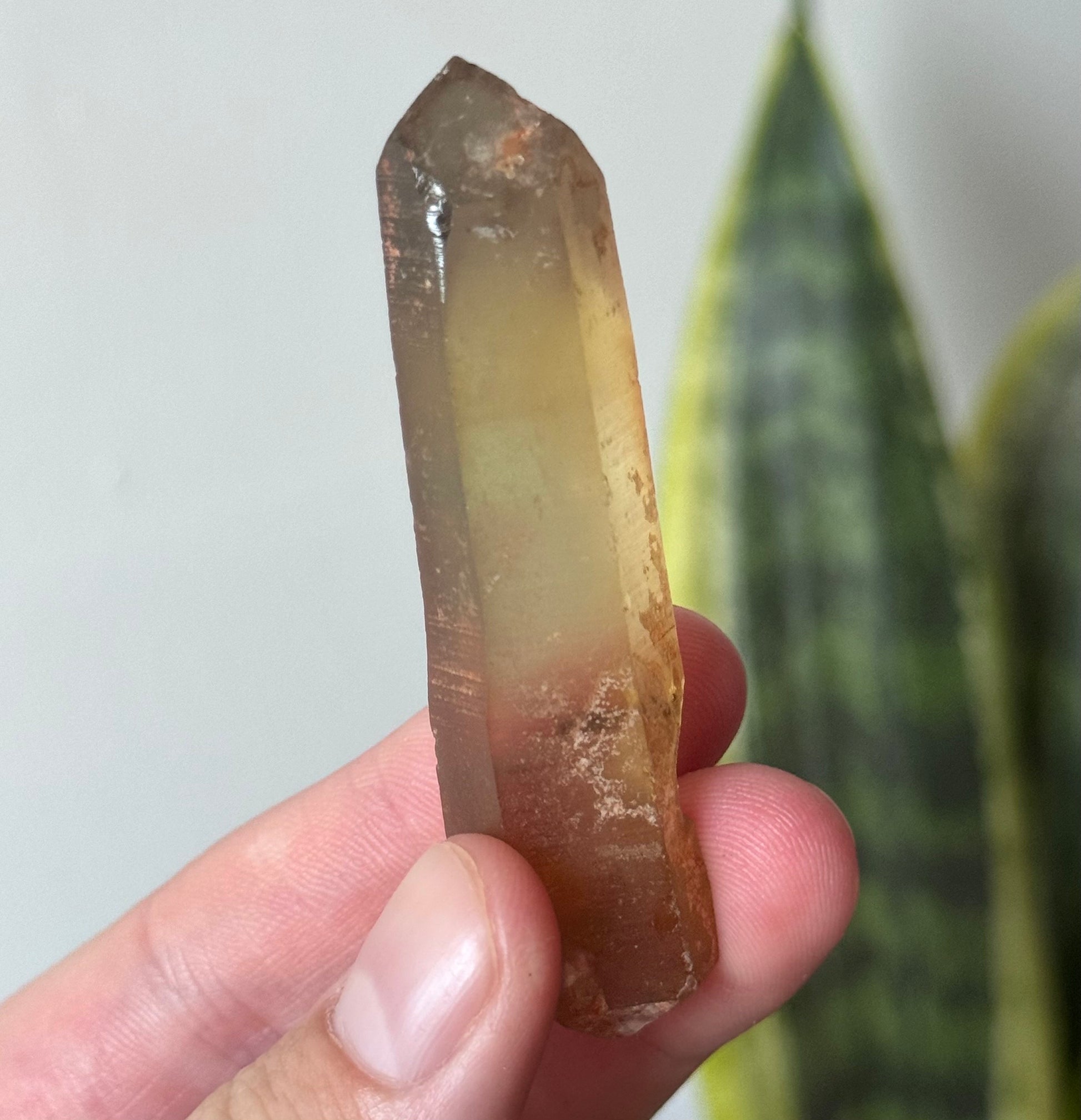 Beautiful Raw Smoky Citrine Point from Zambia | Double Terminated Smoky Citrine Point