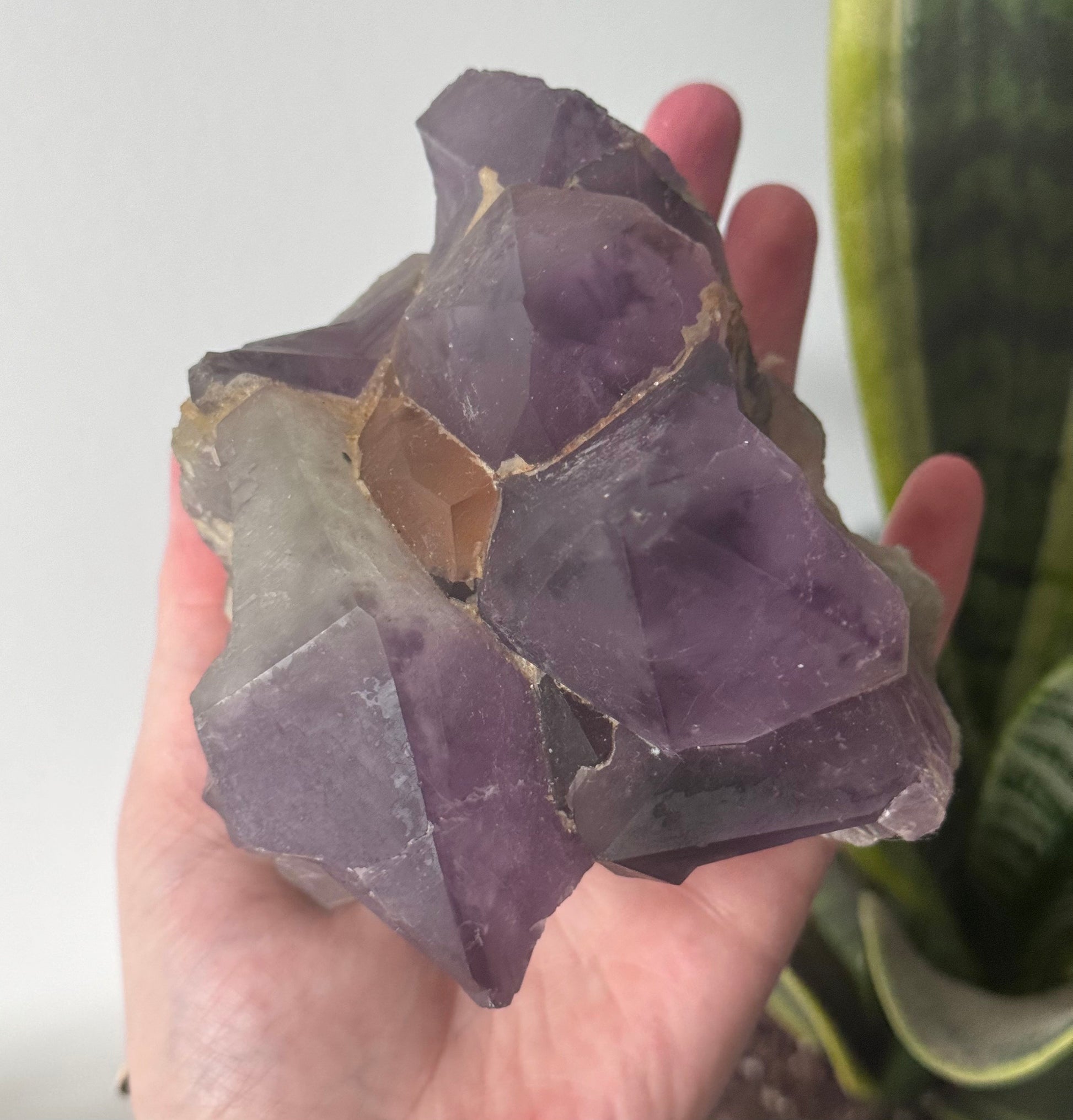 Beautiful Large Pointed Amethyst Cluster from Congo | Raw Amethyst Cluster from Congo 0.950kg