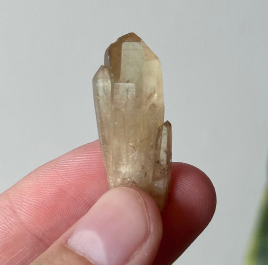 Beautiful Kundalini Citrine Point from Congo | Small Kundalini Citrine Elestial