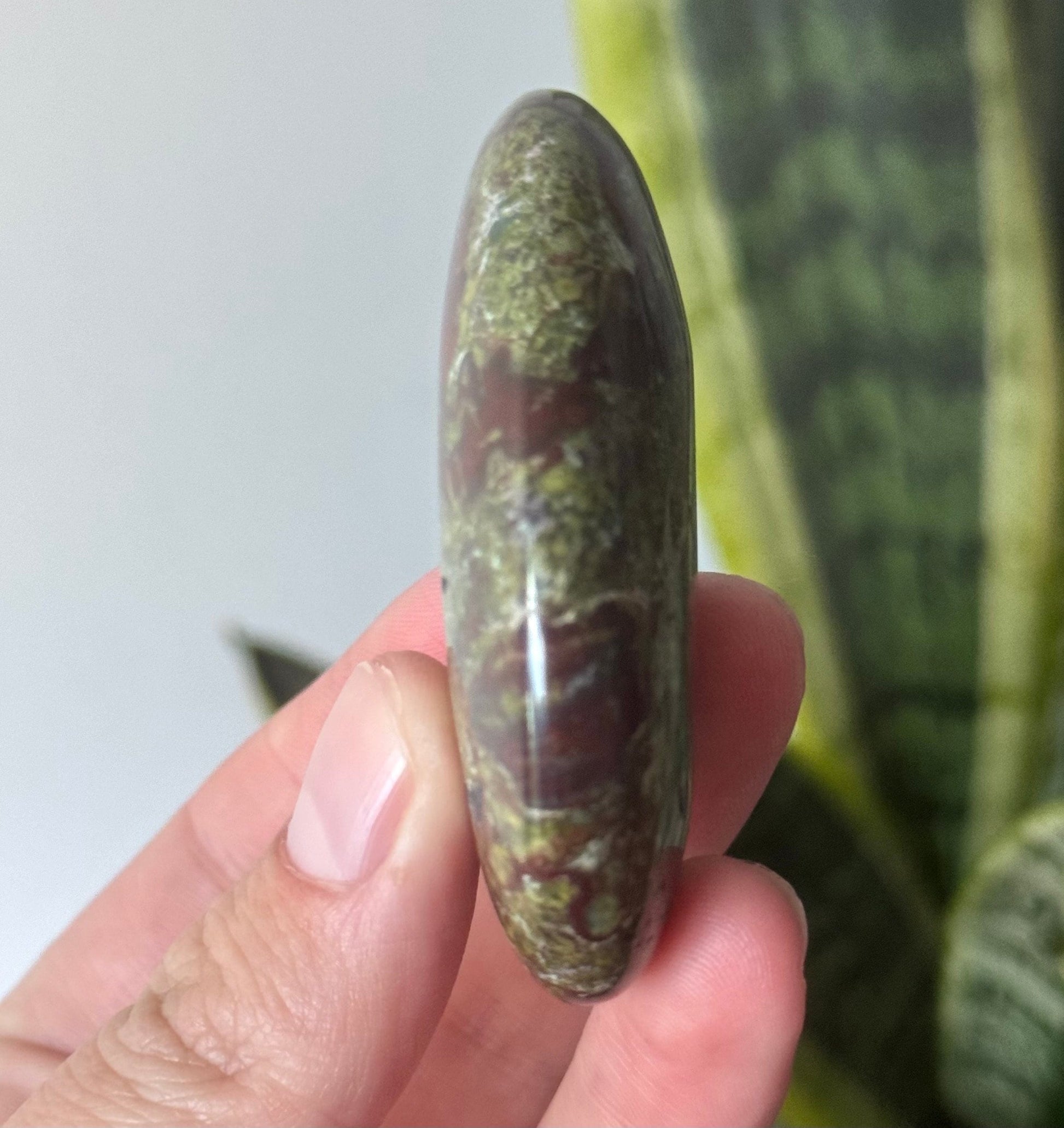 Beautiful Dragons Blood Jasper Palm Stone | Blood Jasper Palmstone