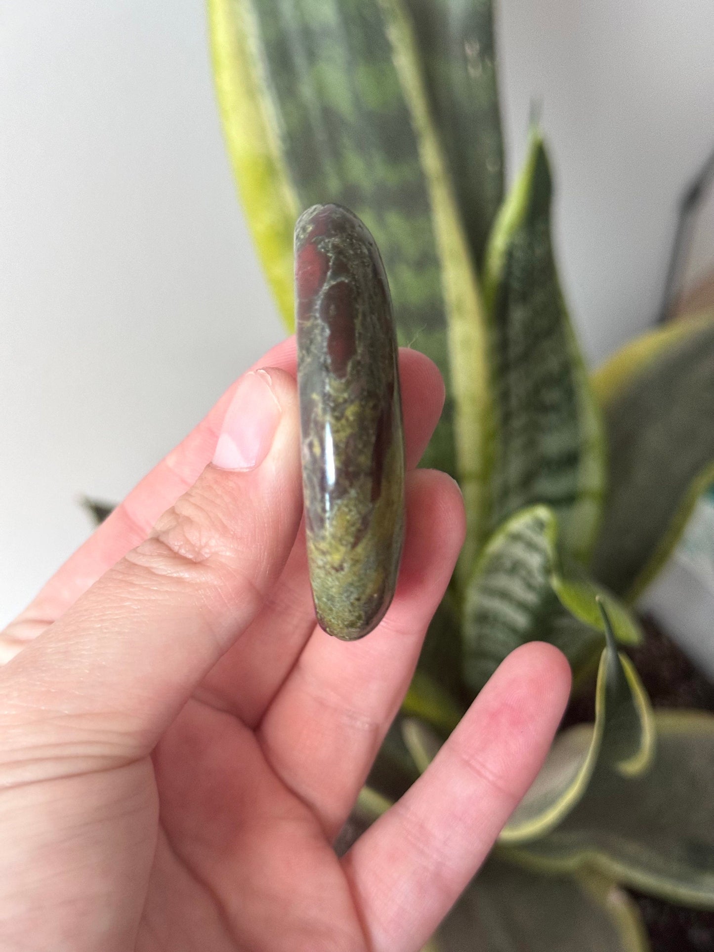 Beautiful Dragons Blood Jasper Palm Stone | Blood Jasper Palmstone