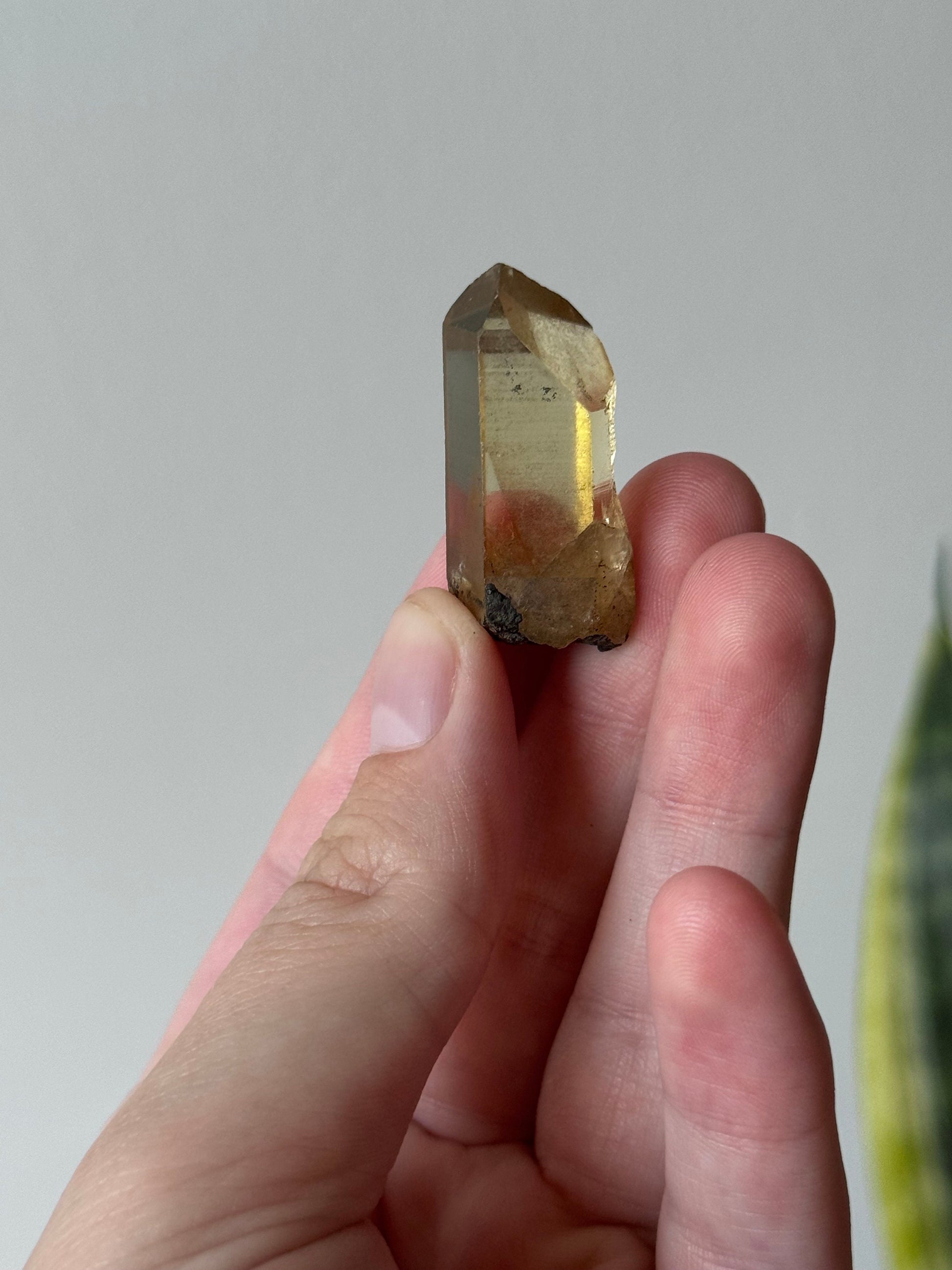 Gorgeous Raw Citrine Point from Brazil | Mini Natural Citrine Point