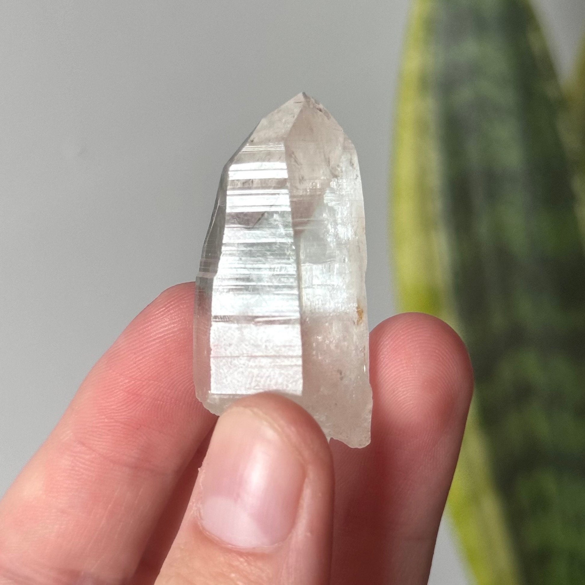 Beautiful Colombian Lemurian Point | Raw Lemurian Quartz from Colombia