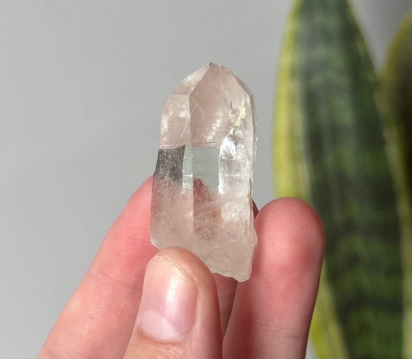 Beautiful Colombian Lemurian Point | Raw Lemurian Quartz from Colombia