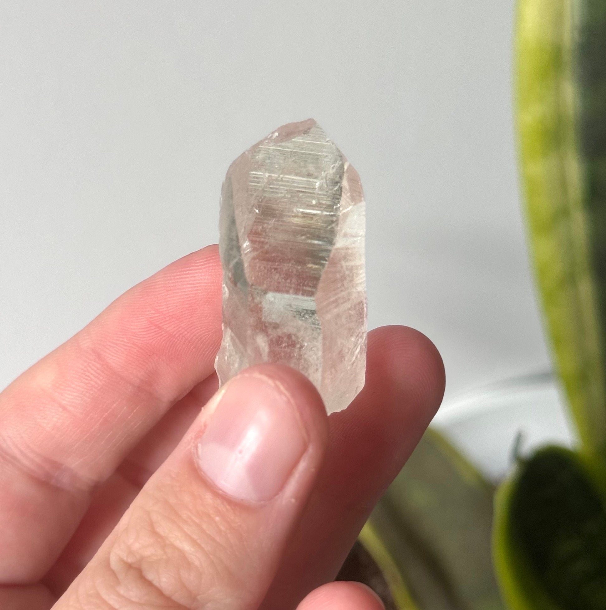 Beautiful Colombian Lemurian Point | Raw Lemurian Quartz from Colombia