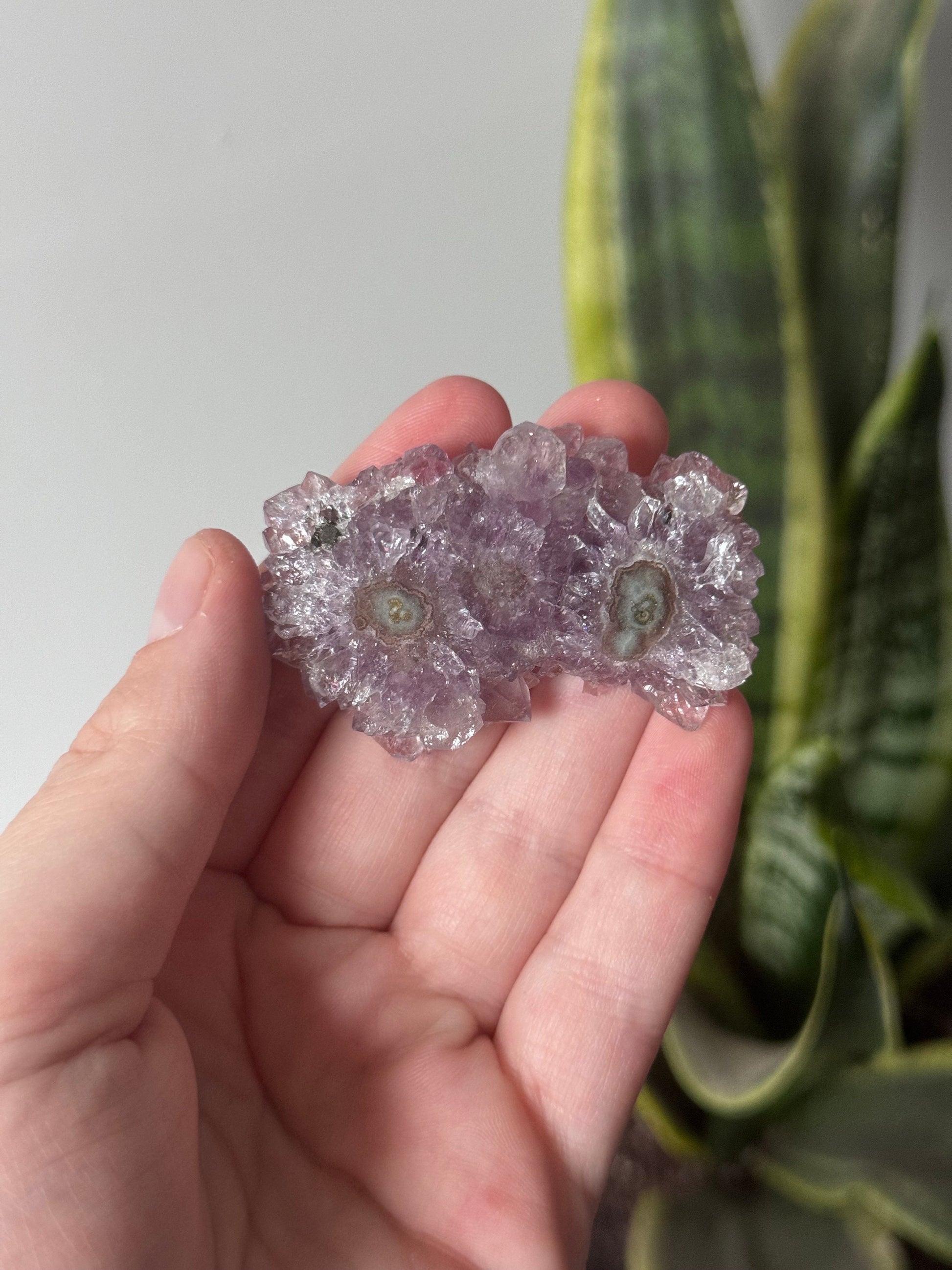 Gorgeous Druzy Amethyst Stalactite Slice from Uruguay