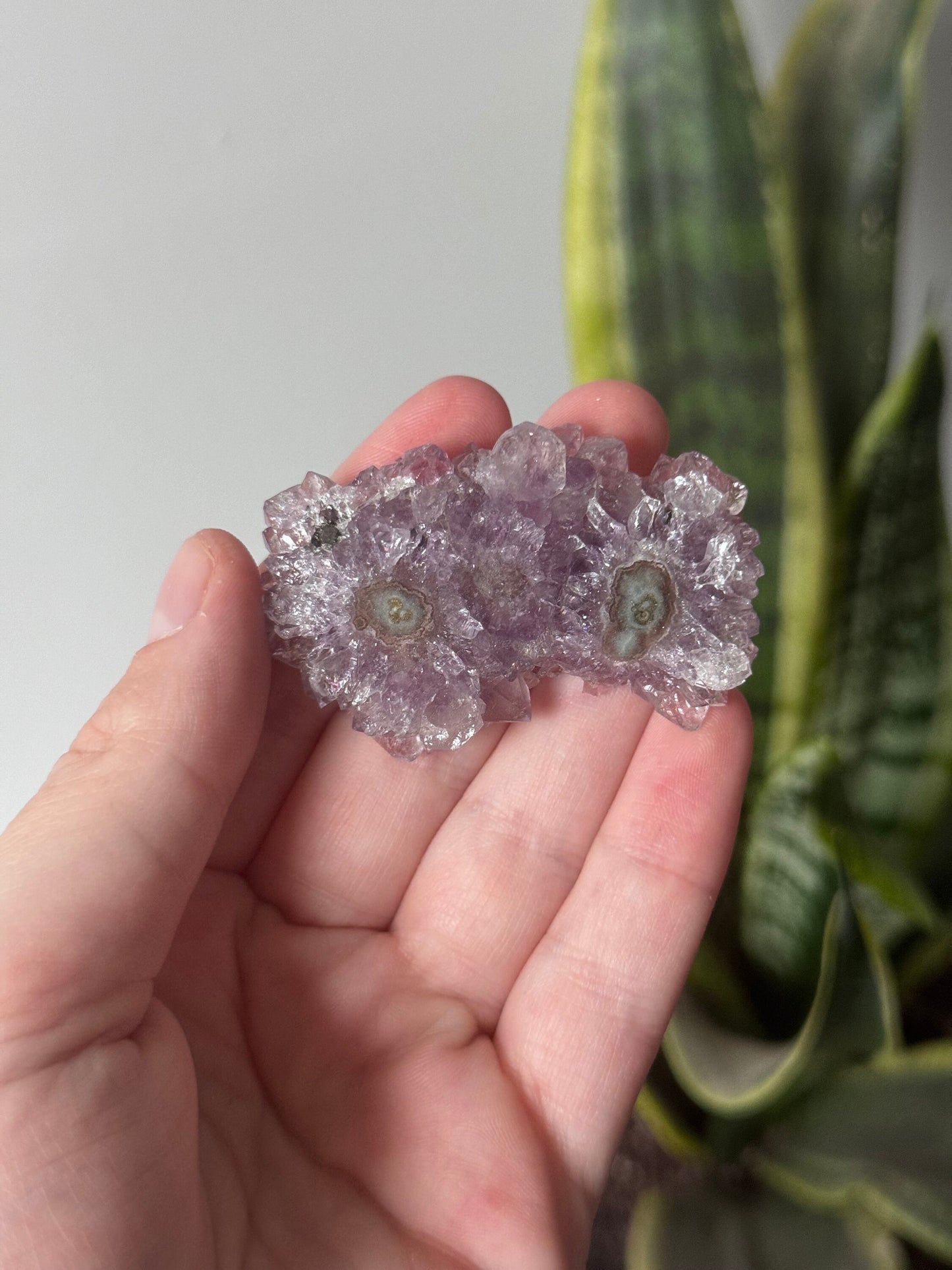 Gorgeous Druzy Amethyst Stalactite Slice from Uruguay