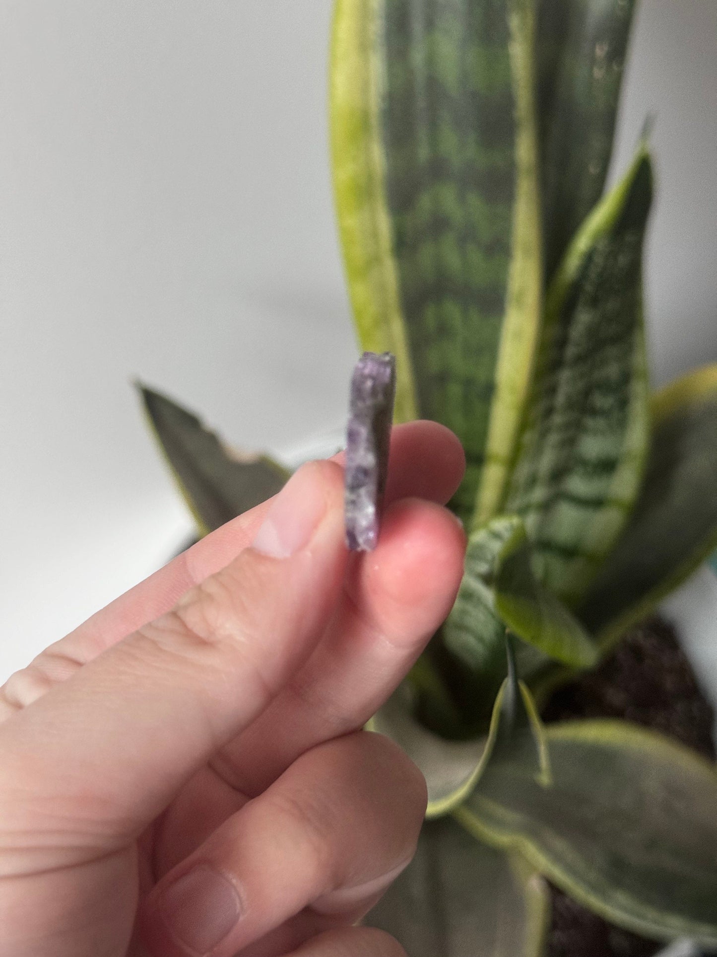 Gorgeous Druzy Amethyst Stalactite Slice from Uruguay