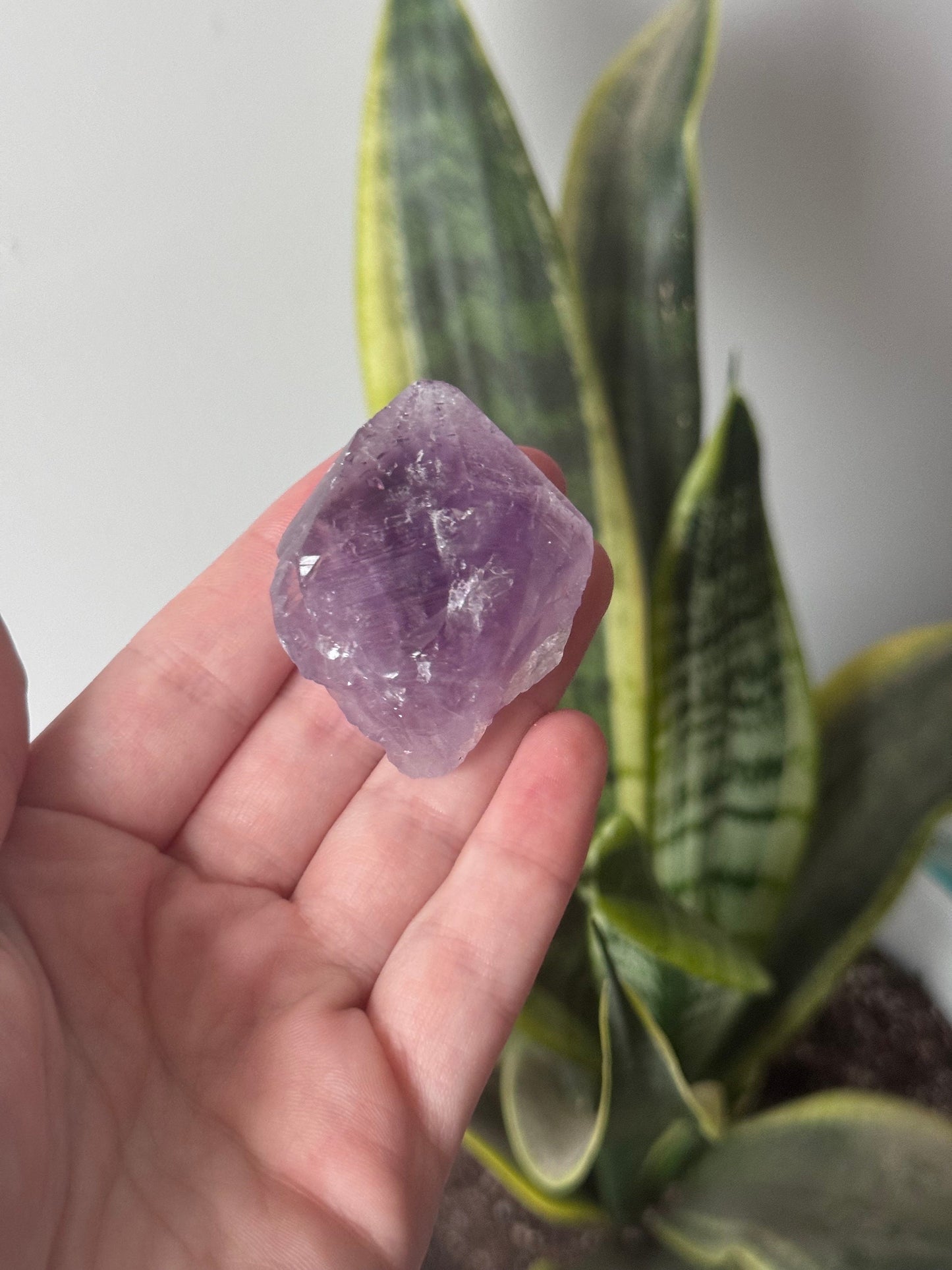 Beautiful Deep Purple Raw Amethyst Chunk from Brazil | Raw Amethyst Point