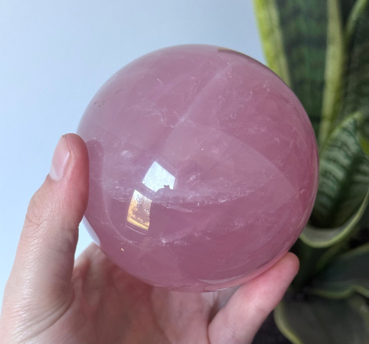 Gorgeous Rose Quartz Sphere with Star Flash | 85mm Rose Quartz Ball with Asterism