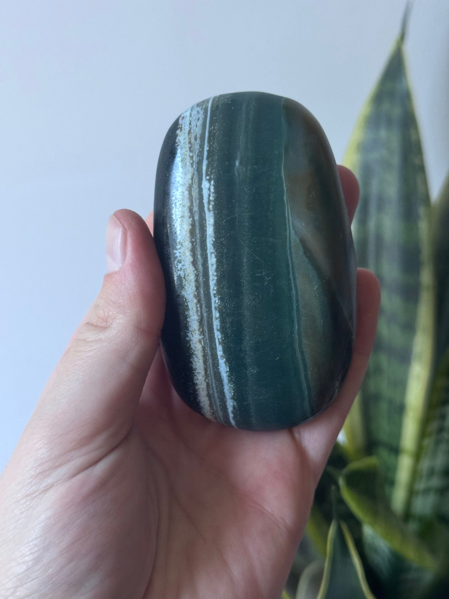 Beautiful Ocean Jasper Palm Stone | Large Veinless Ocean Jasper Palmstone