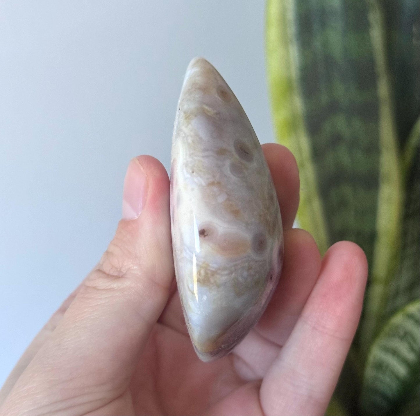Beautiful Veinless Ocean Jasper Palm Stone from Madagascar