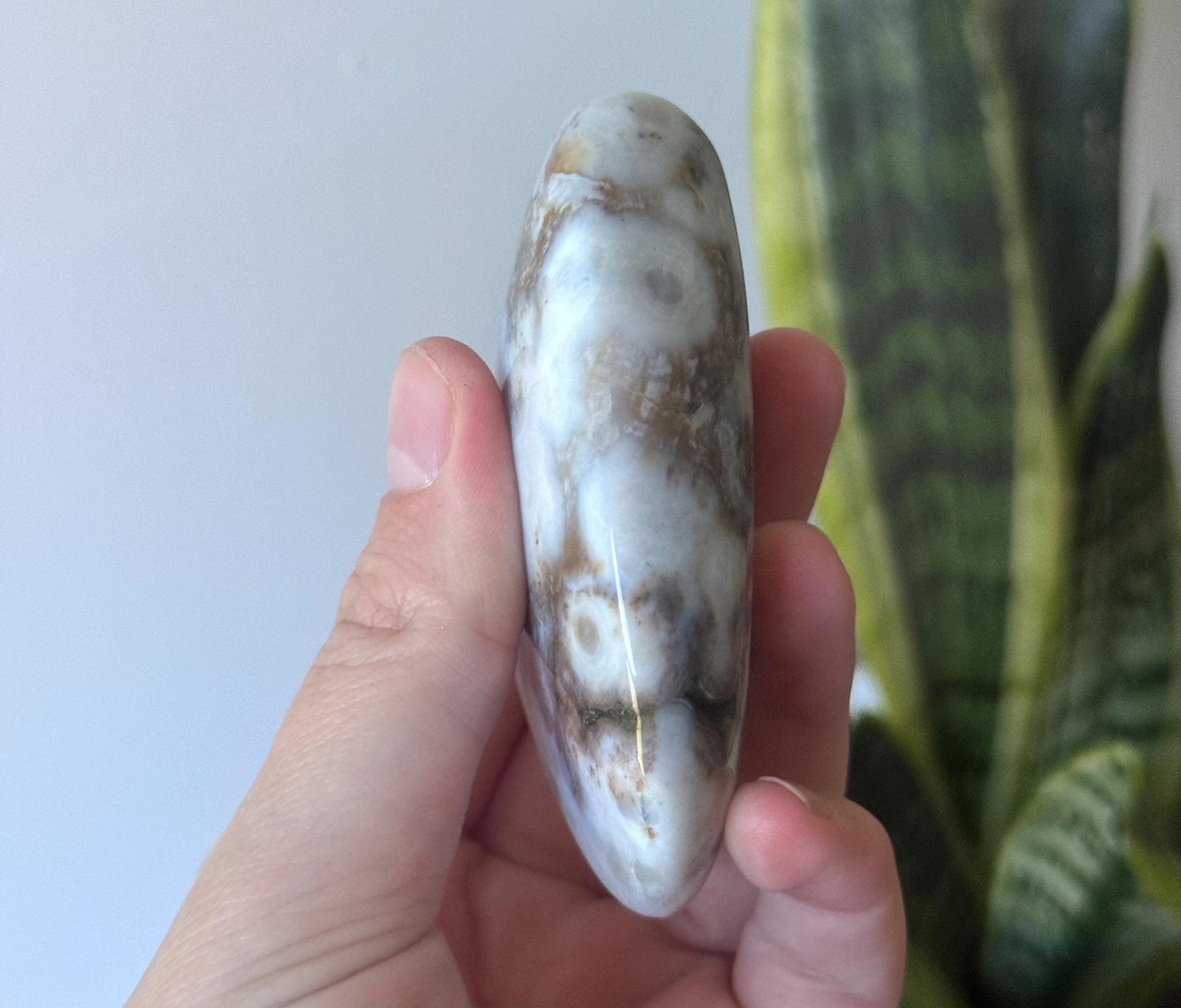 Beautiful Veinless Ocean Jasper Palm Stone from Madagascar