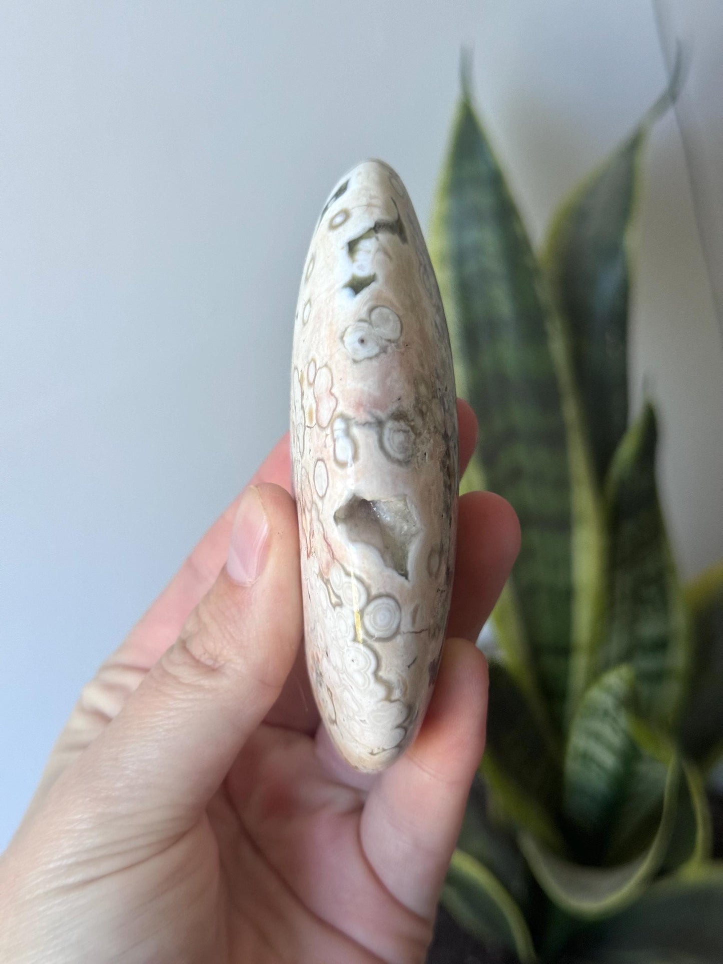 Beautiful Veinless Ocean Jasper Palm Stone from Madagascar