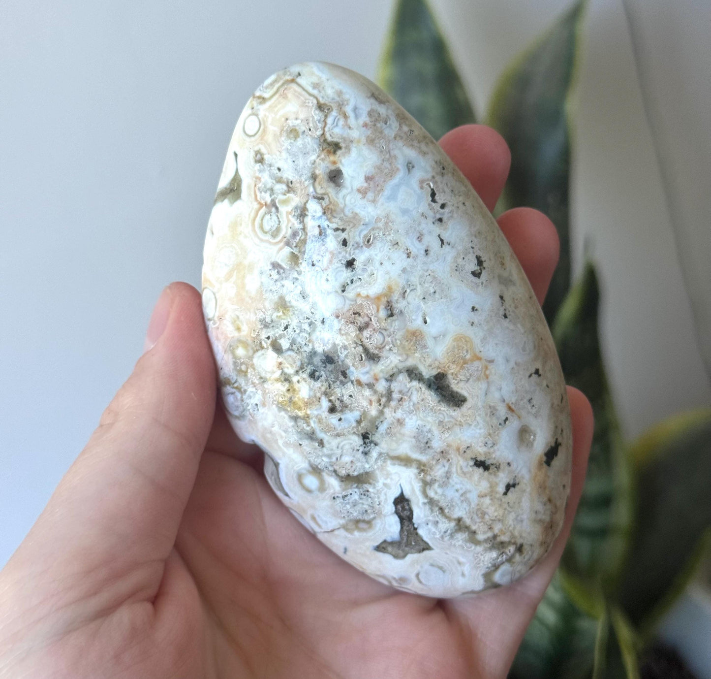 Beautiful Veinless Ocean Jasper Palm Stone from Madagascar