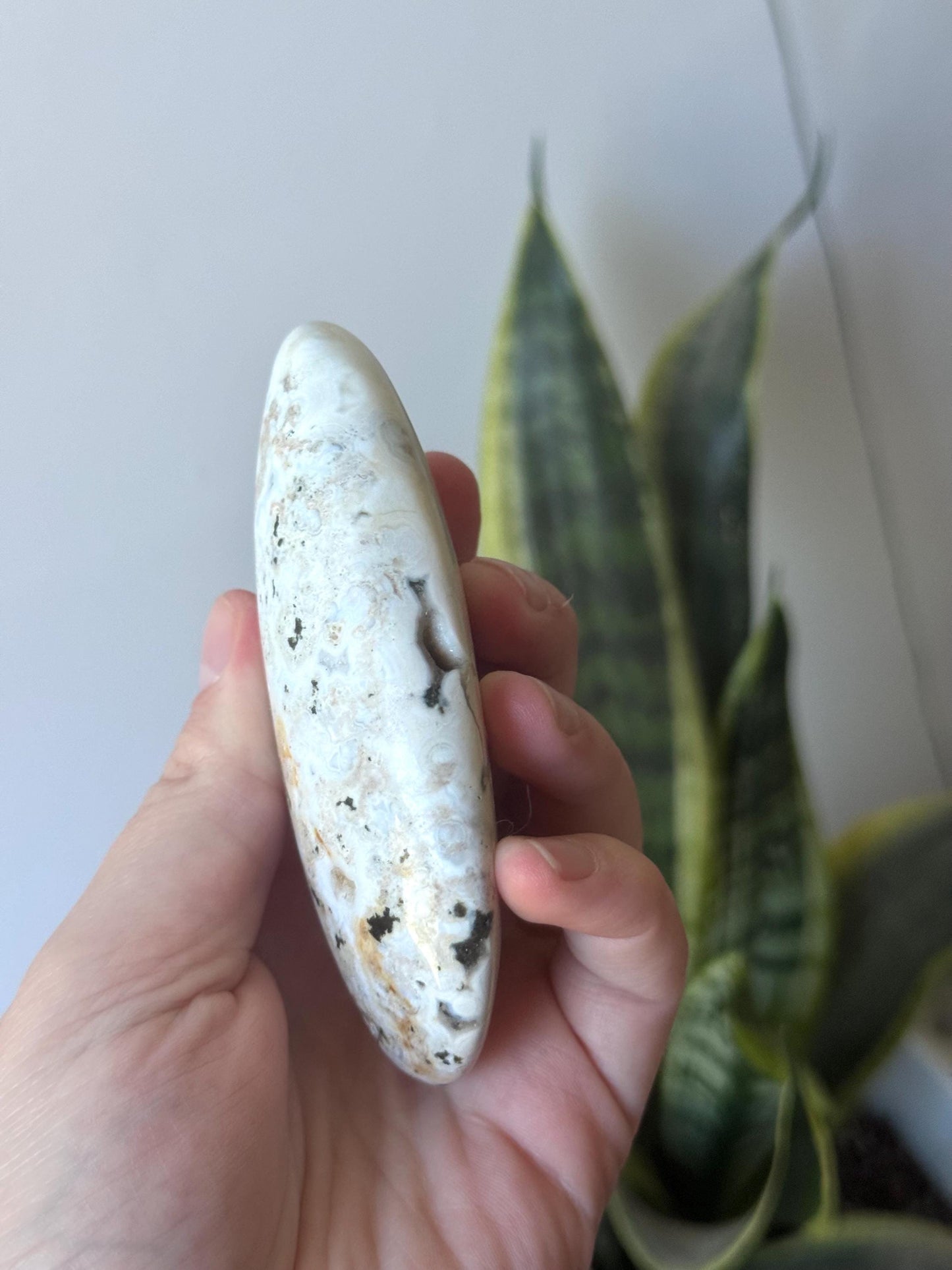 Beautiful Veinless Ocean Jasper Palm Stone from Madagascar