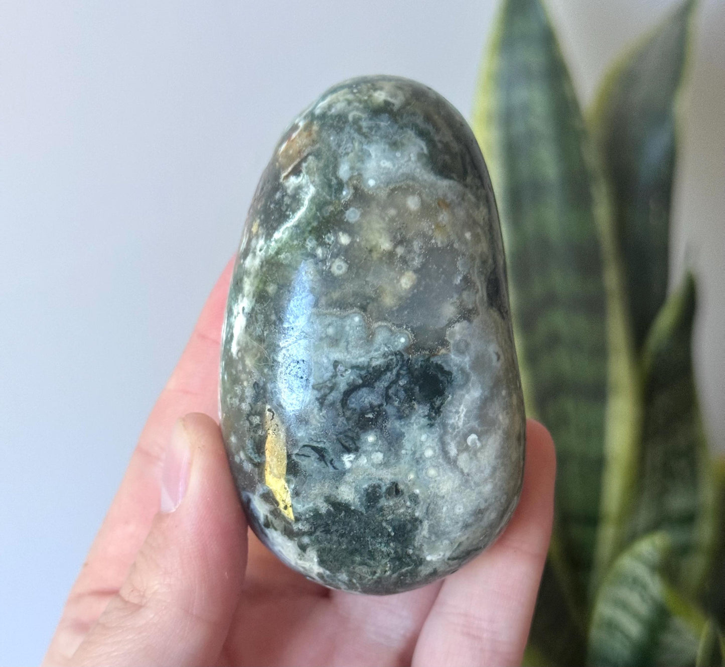 Beautiful Veinless Ocean Jasper Palm Stone from Madagascar