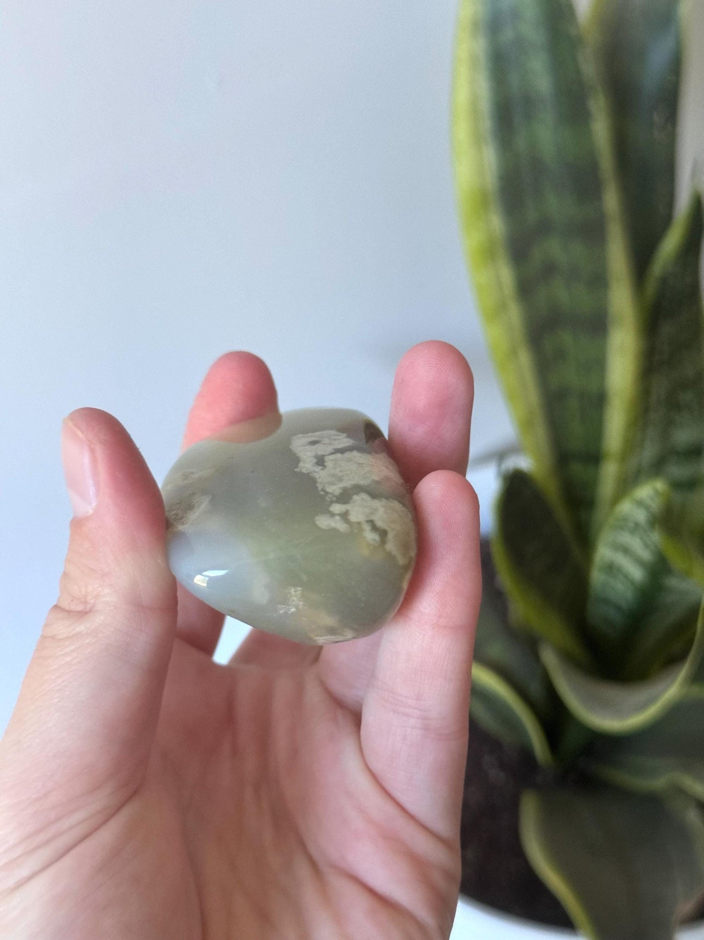 Beautiful Veinless Ocean Jasper Palm Stone from Madagascar