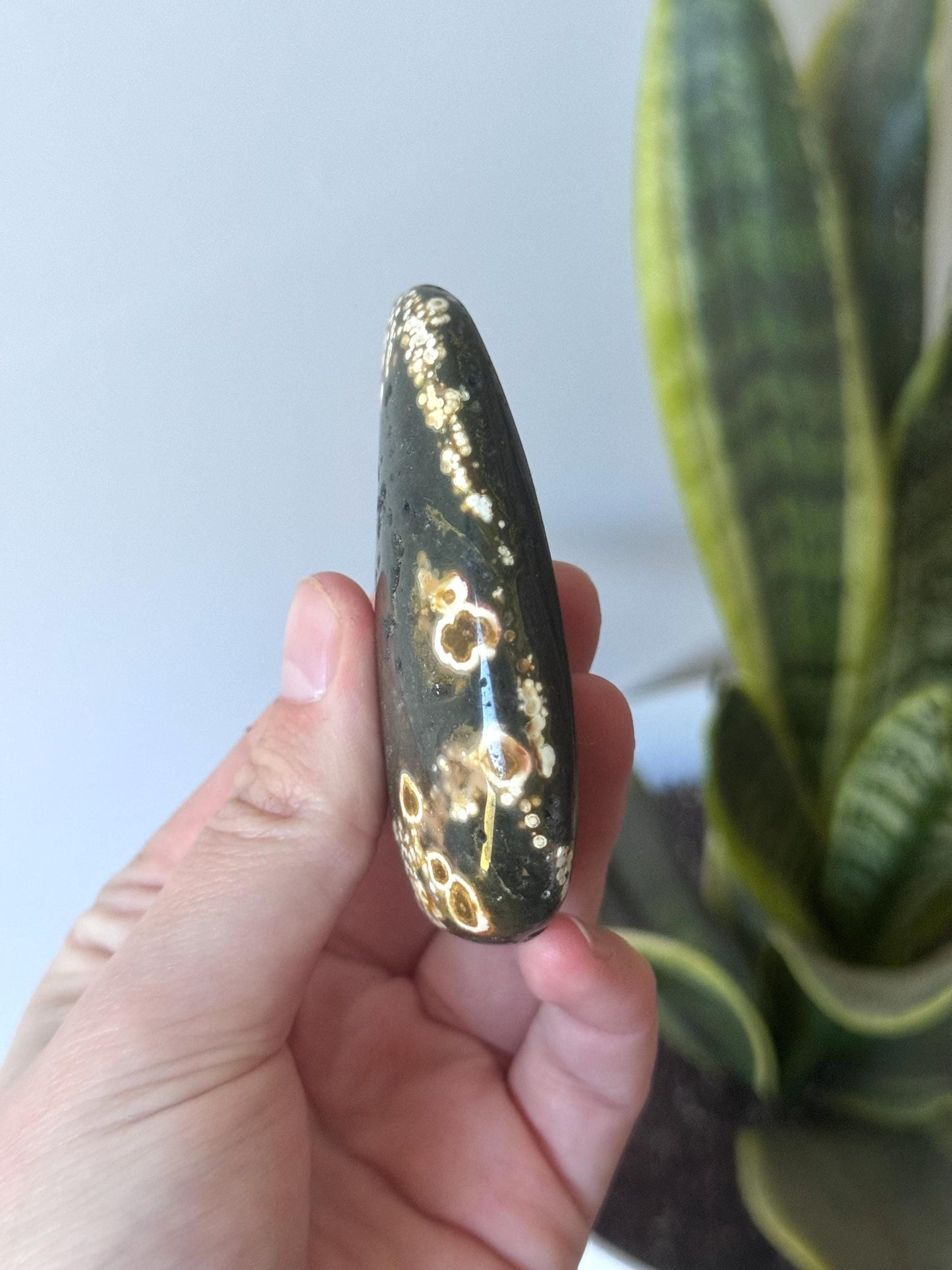 Beautiful Veinless Ocean Jasper Palm Stone from Madagascar