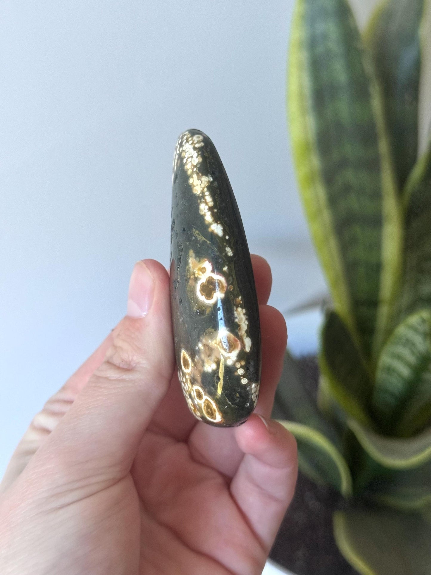 Beautiful Veinless Ocean Jasper Palm Stone from Madagascar