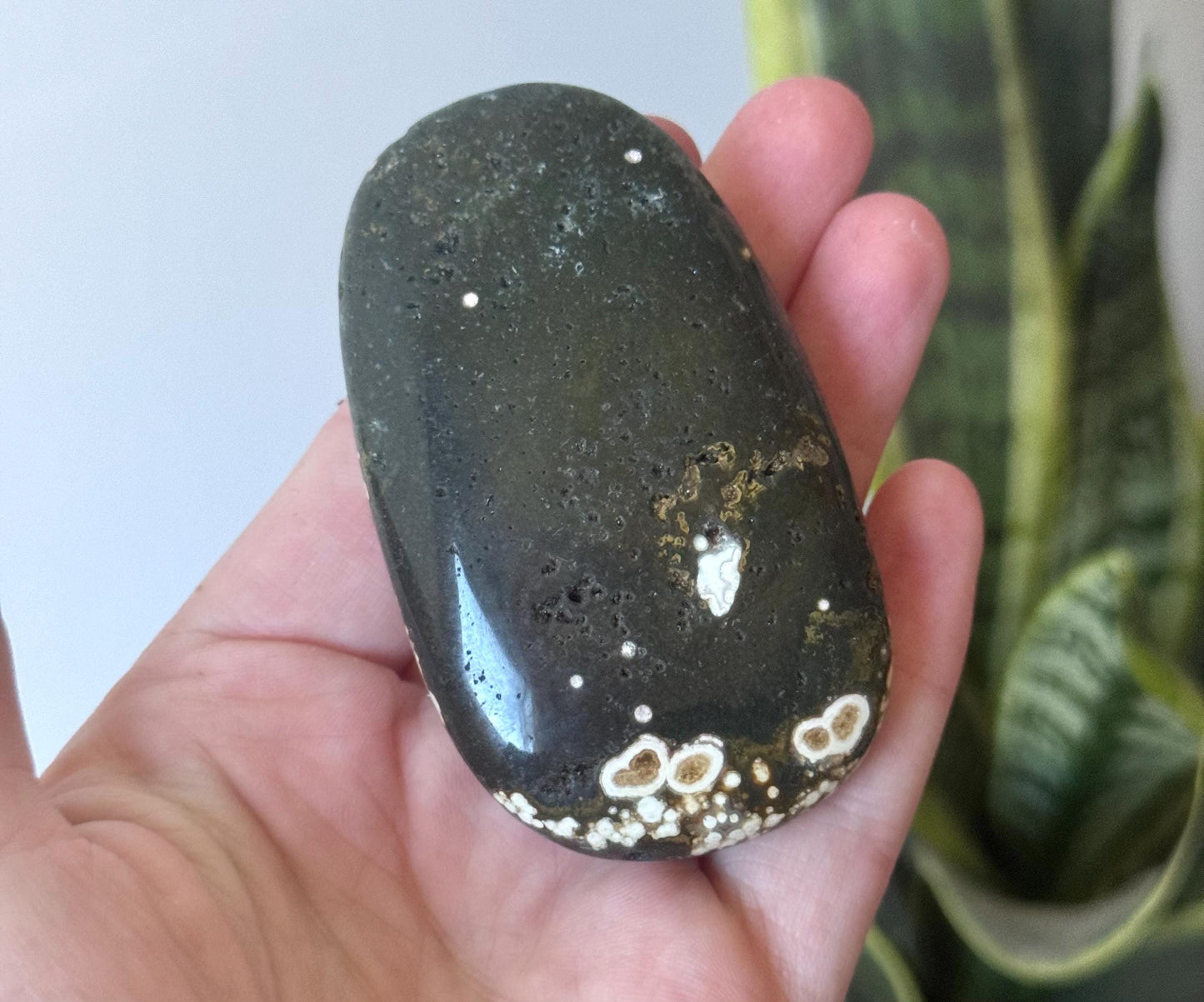 Beautiful Veinless Ocean Jasper Palm Stone from Madagascar