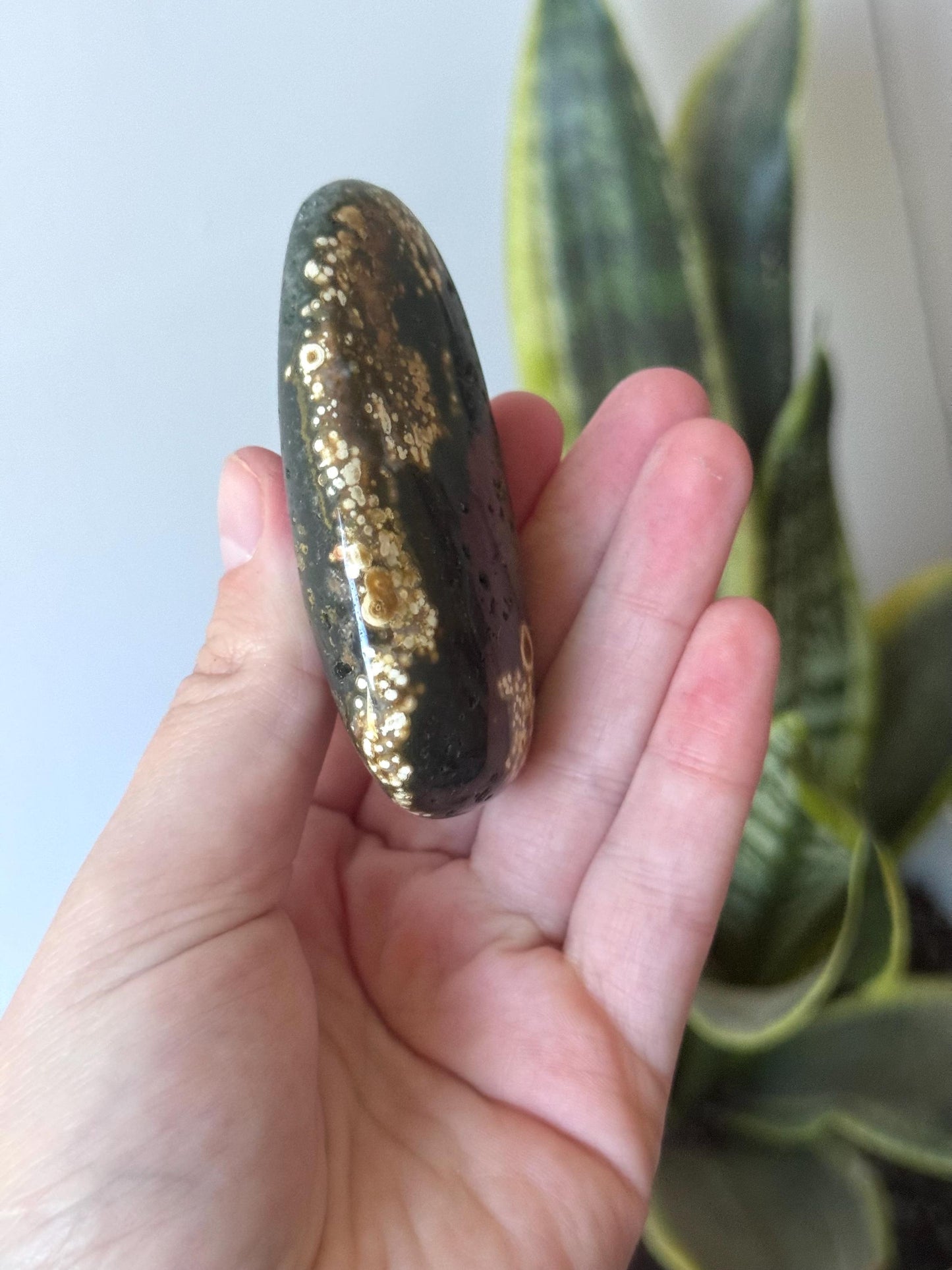 Beautiful Veinless Ocean Jasper Palm Stone from Madagascar