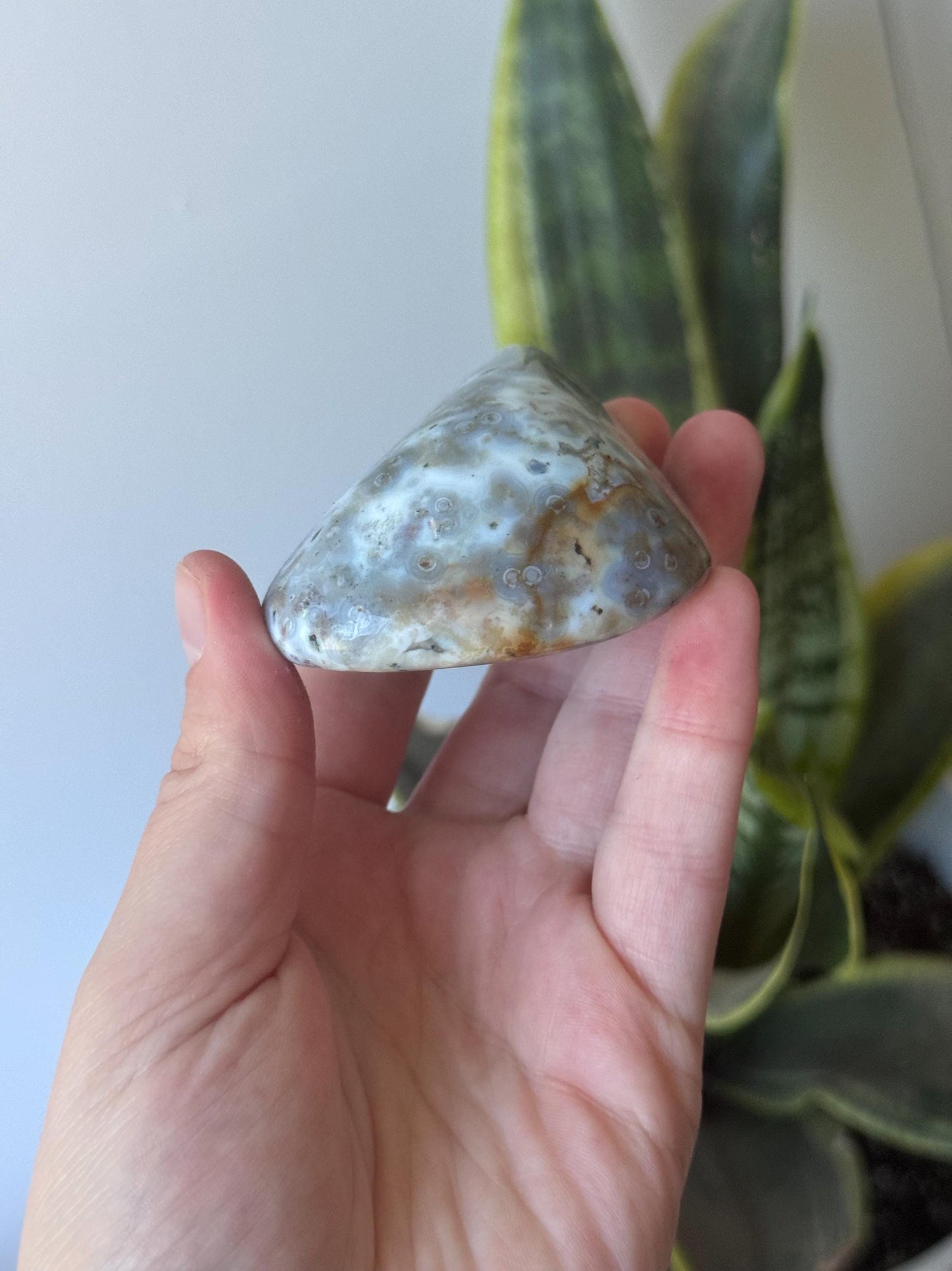 Beautiful Veinless Ocean Jasper Palm Stone from Madagascar