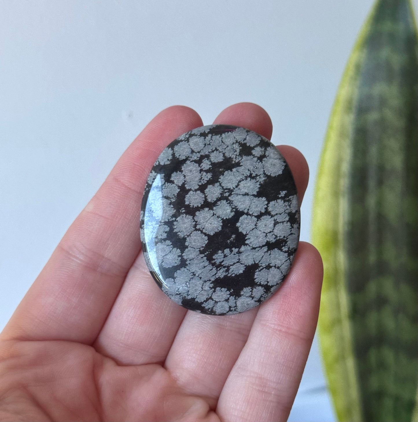 Beautiful Snowflake Obsidian Flat Stones | Snowflake Obsidian Round Pebble Worry Stone