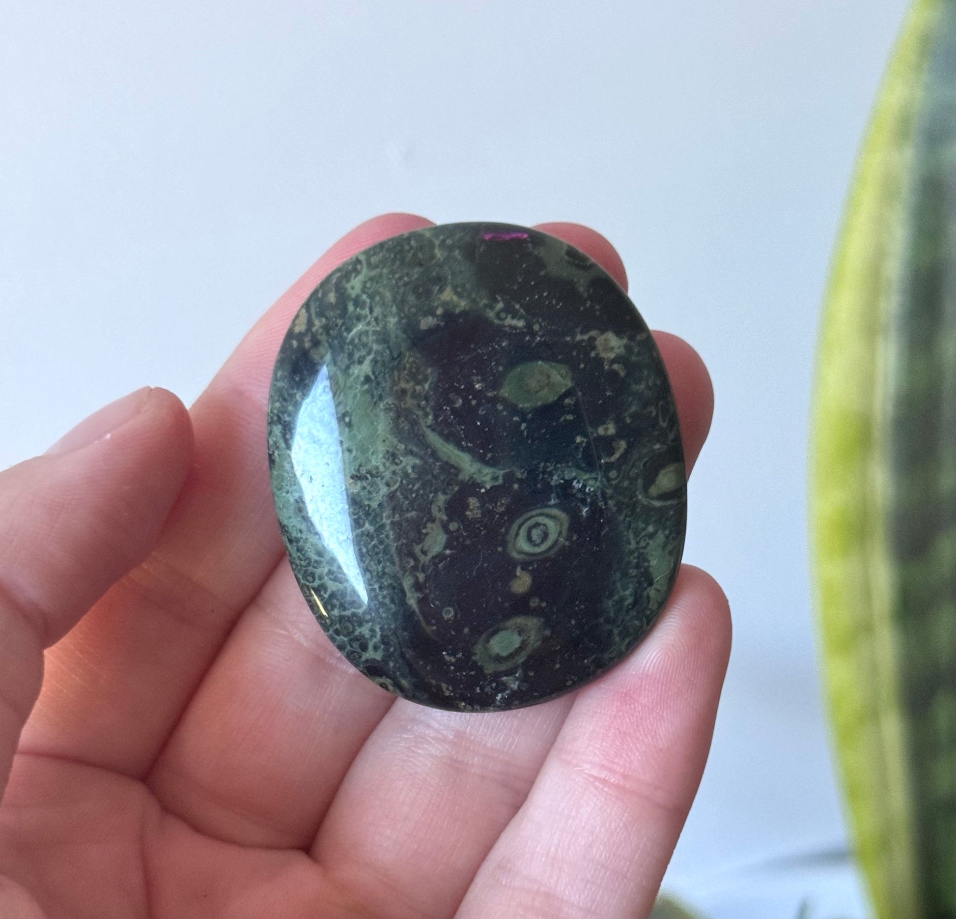 Beautiful Kambaba Jasper Flat Stones | One Kambaba Jasper Round Palm Stone Pocket Stone