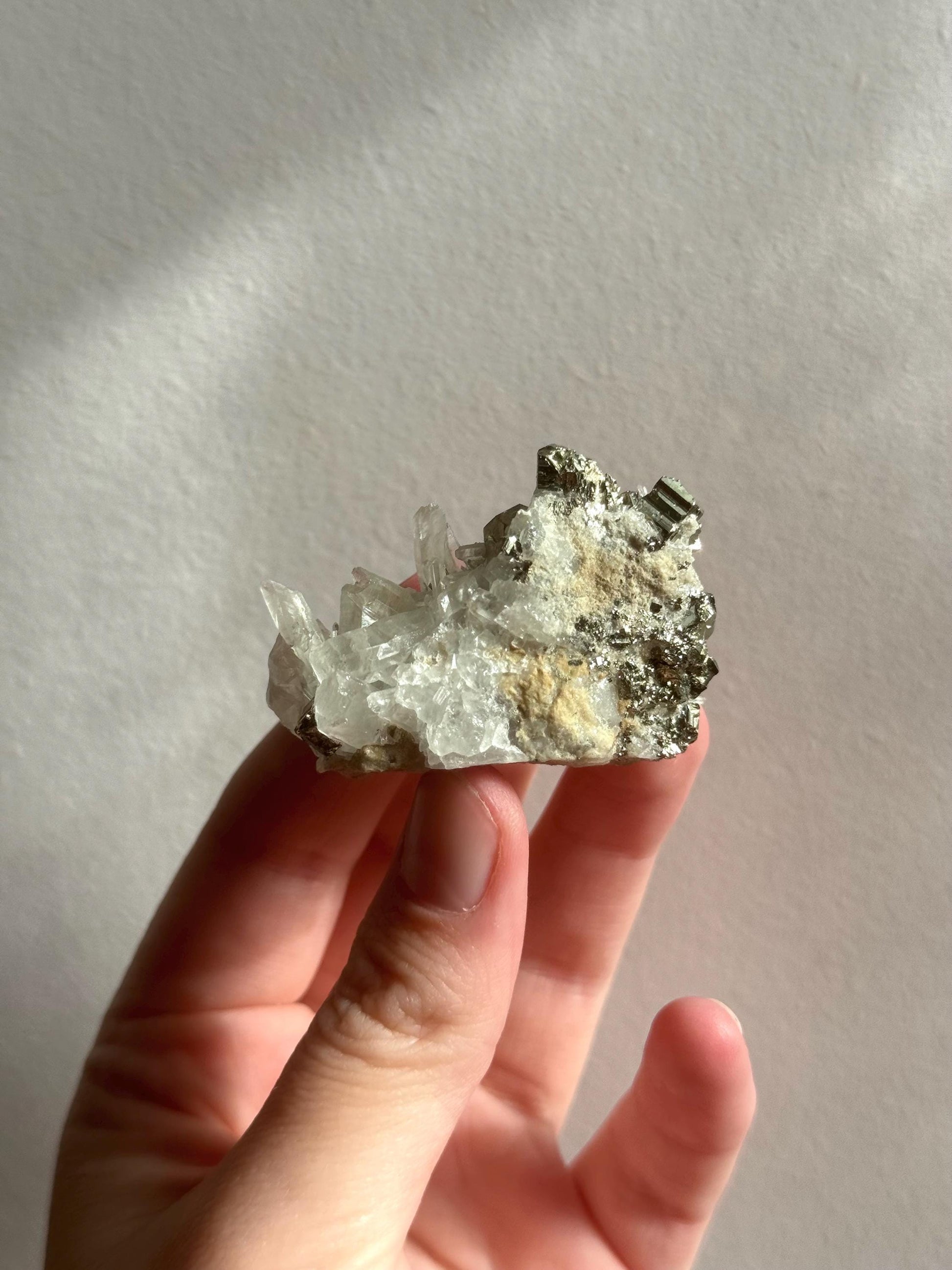 High Quality Caribbean Calcite Palm Stone Carribean Calcite Palmstone #4