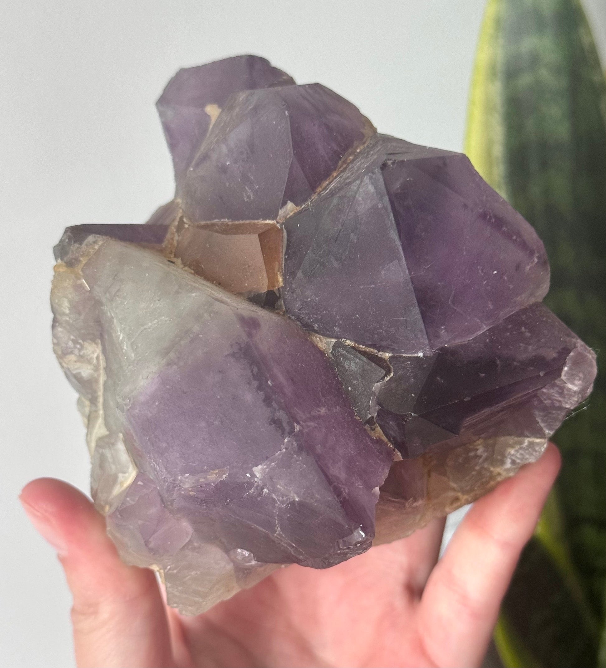 Beautiful Large Pointed Amethyst Cluster from Congo | Raw Amethyst Cluster from Congo 0.950kg