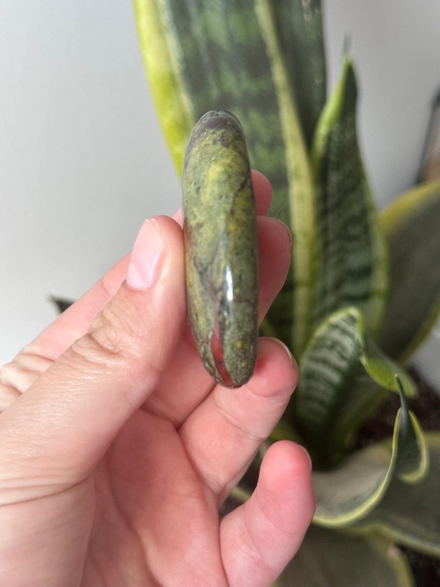Beautiful Dragons Blood Jasper Palm Stone | Blood Jasper Palmstone