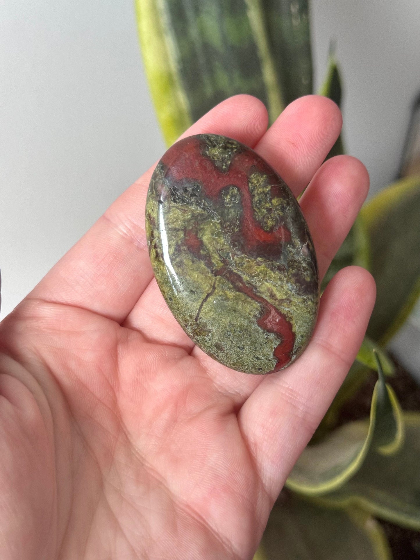 Beautiful Dragons Blood Jasper Palm Stone | Blood Jasper Palmstone