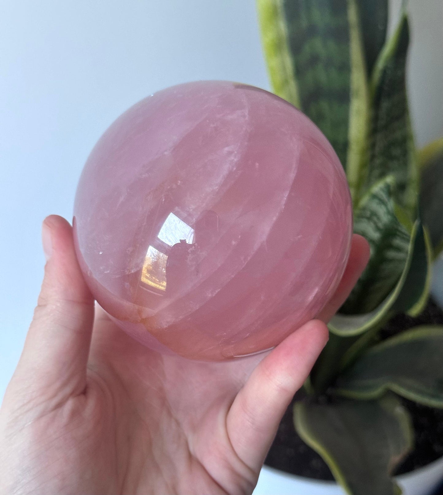 Gorgeous Rose Quartz Sphere with Star Flash | 85mm Rose Quartz Ball with Asterism