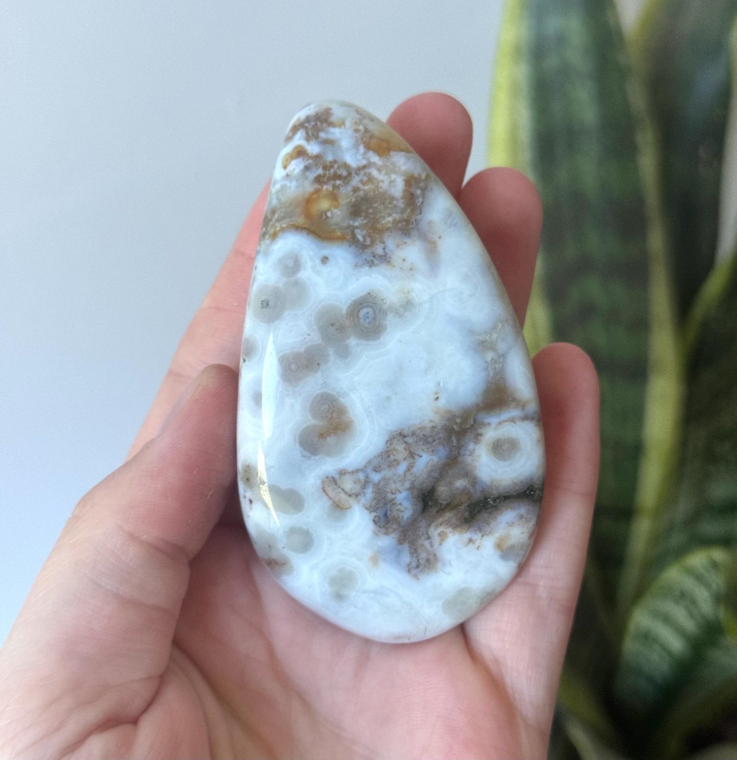 Beautiful Veinless Ocean Jasper Palm Stone from Madagascar