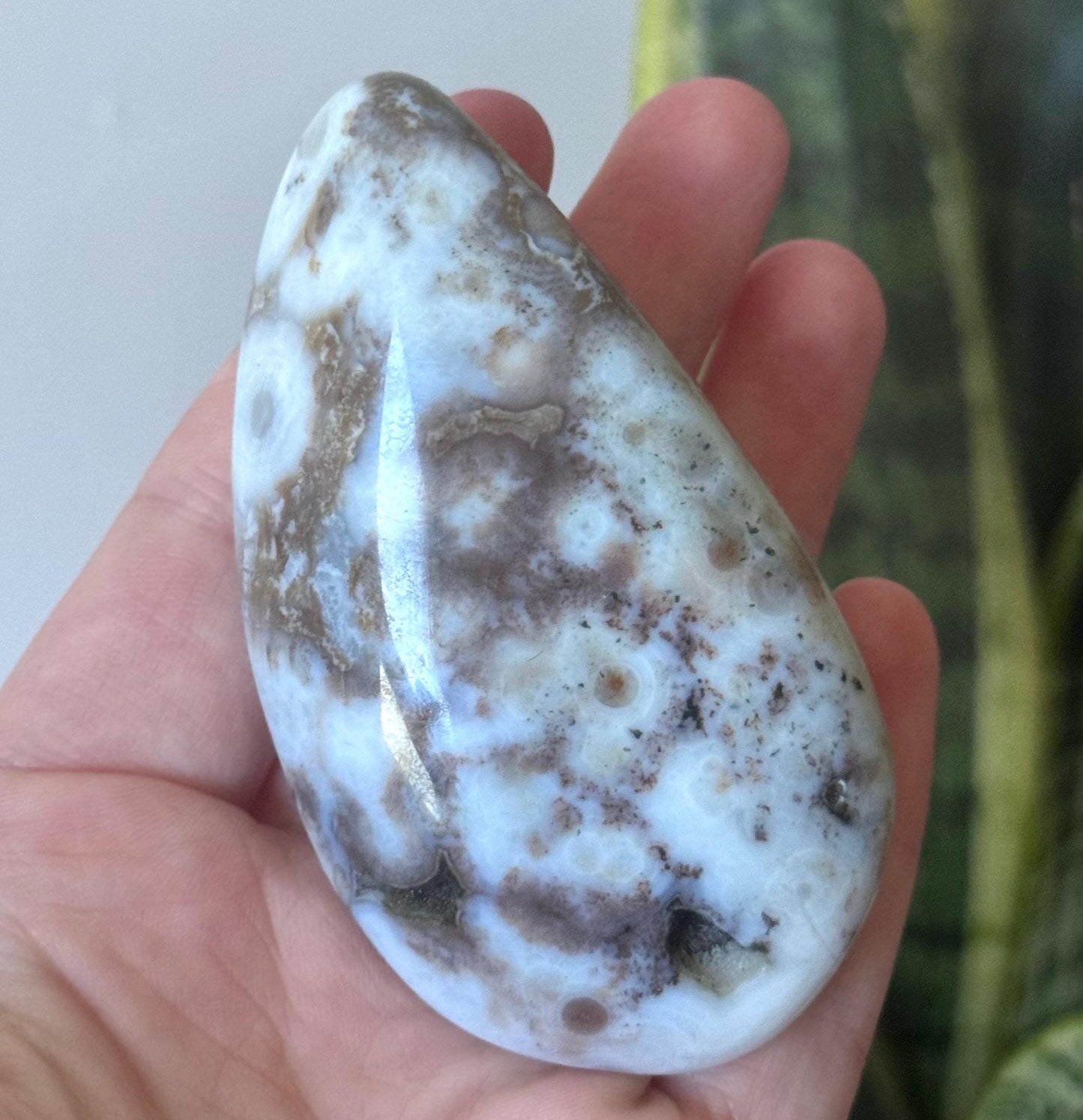 Beautiful Veinless Ocean Jasper Palm Stone from Madagascar