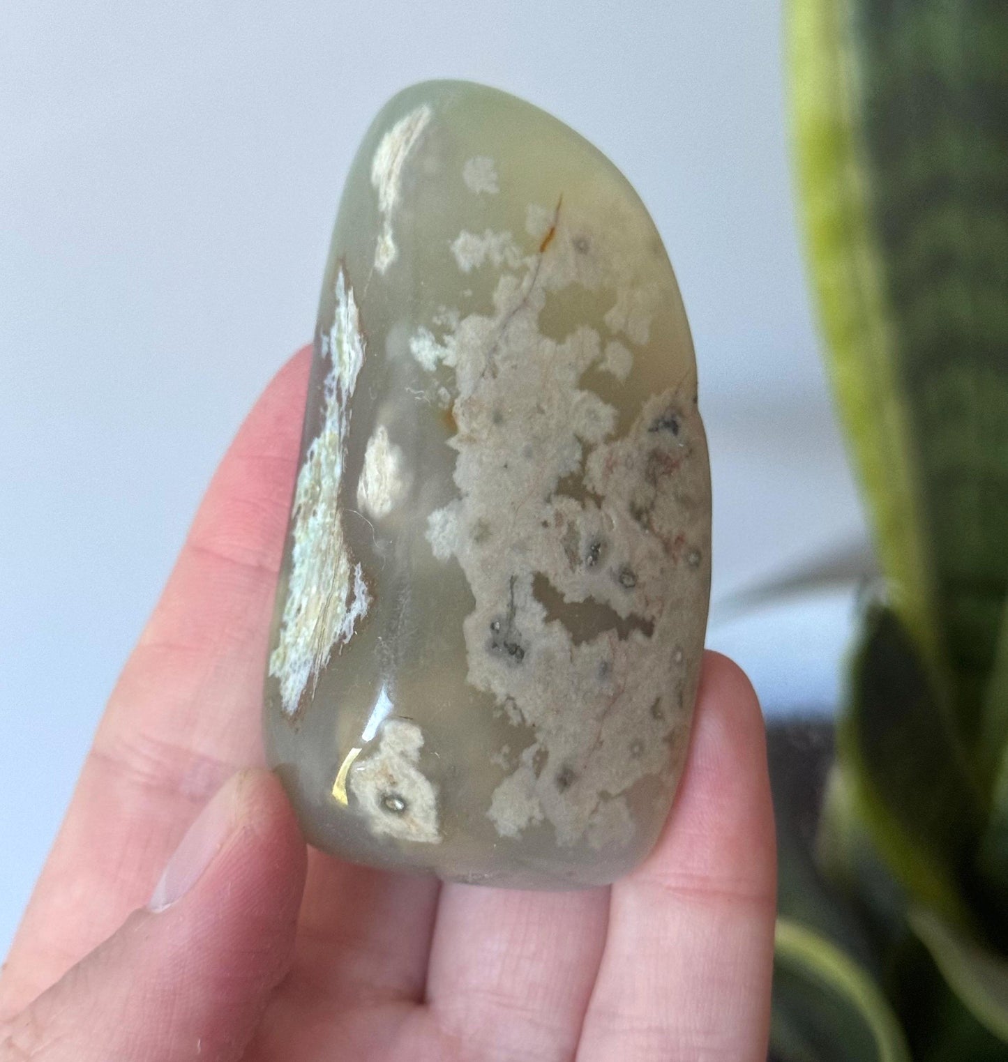 Beautiful Veinless Ocean Jasper Palm Stone from Madagascar
