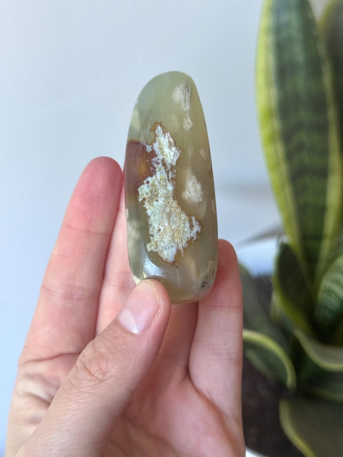 Beautiful Veinless Ocean Jasper Palm Stone from Madagascar