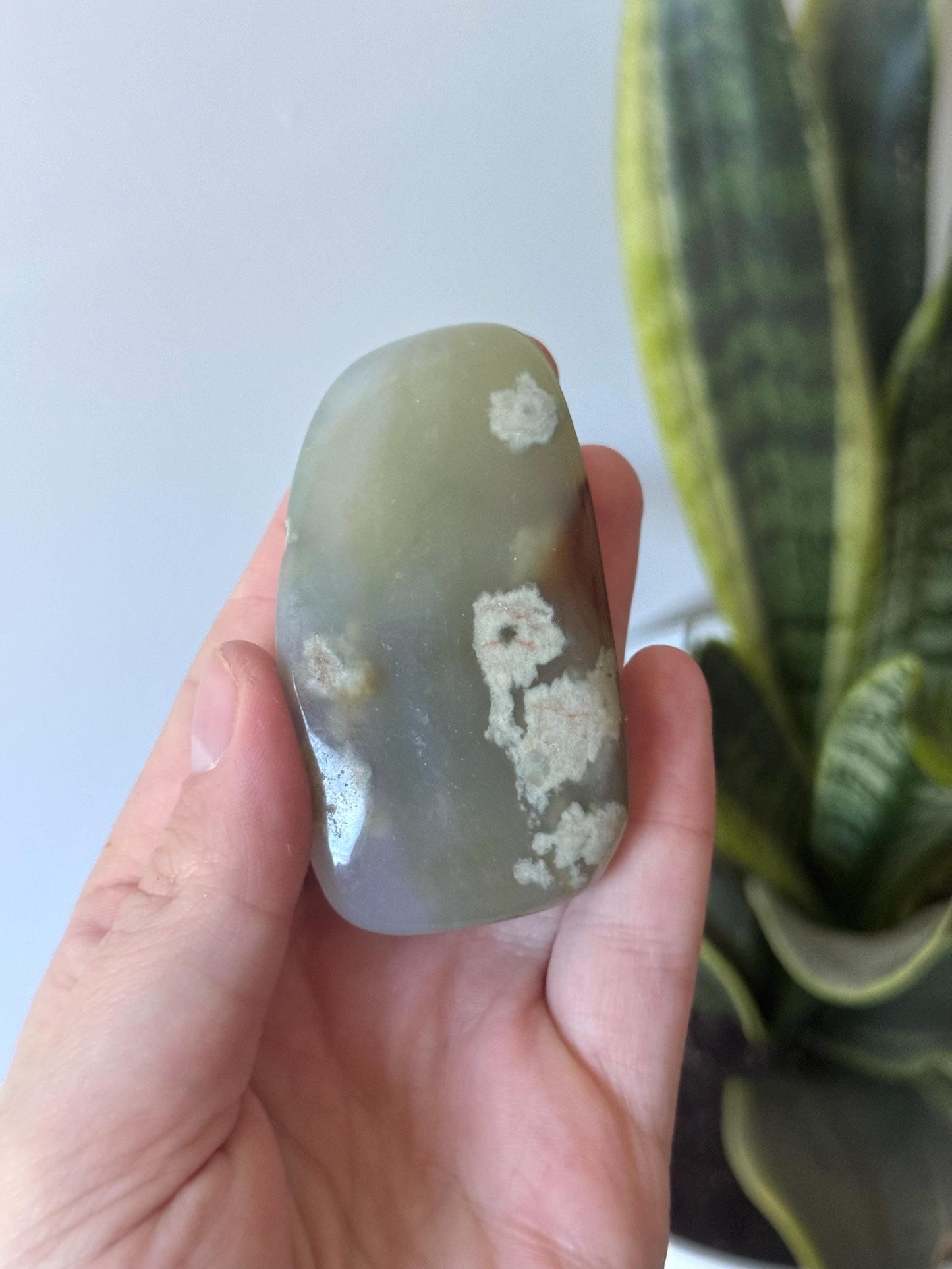 Beautiful Veinless Ocean Jasper Palm Stone from Madagascar