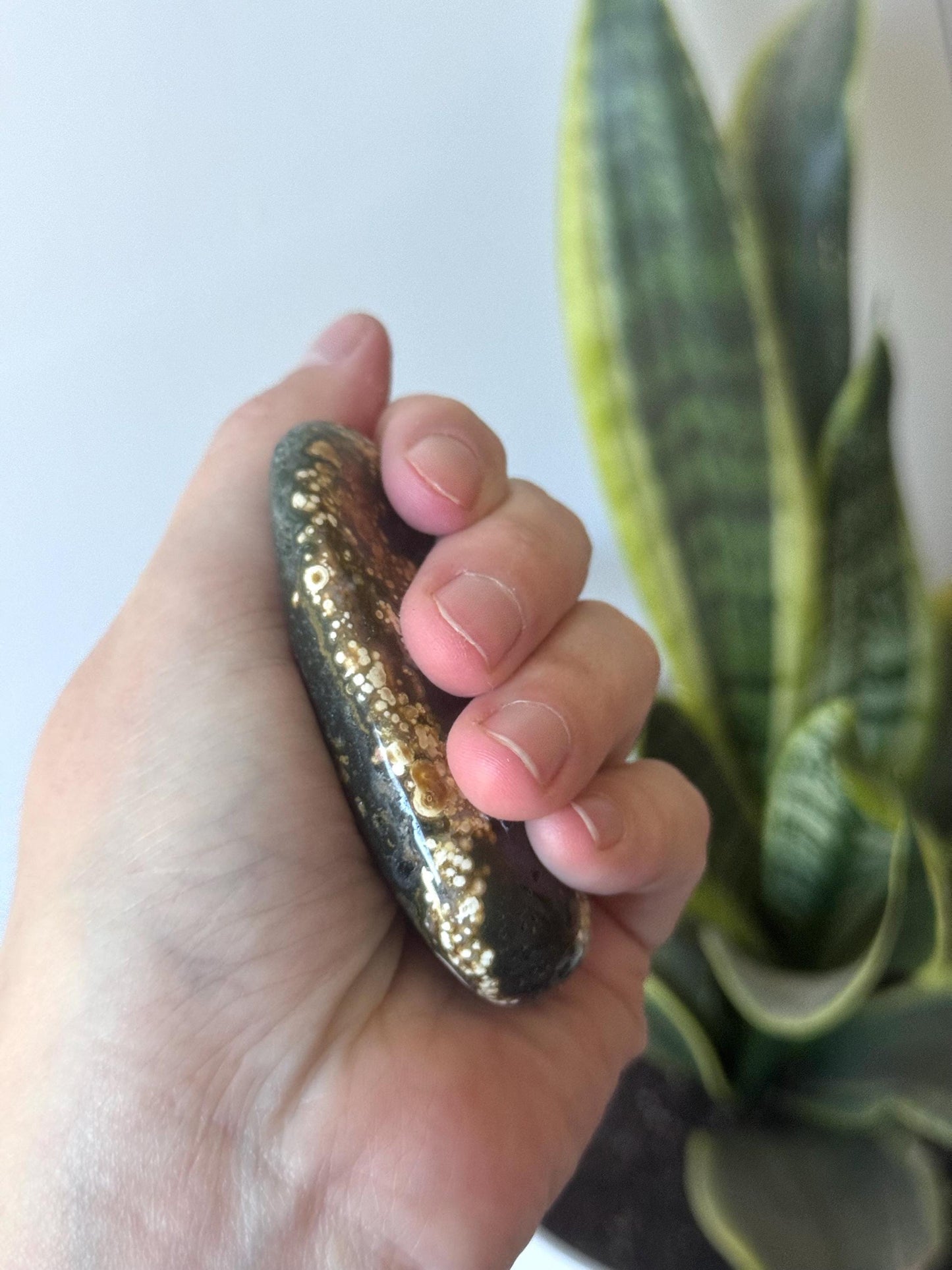 Beautiful Veinless Ocean Jasper Palm Stone from Madagascar