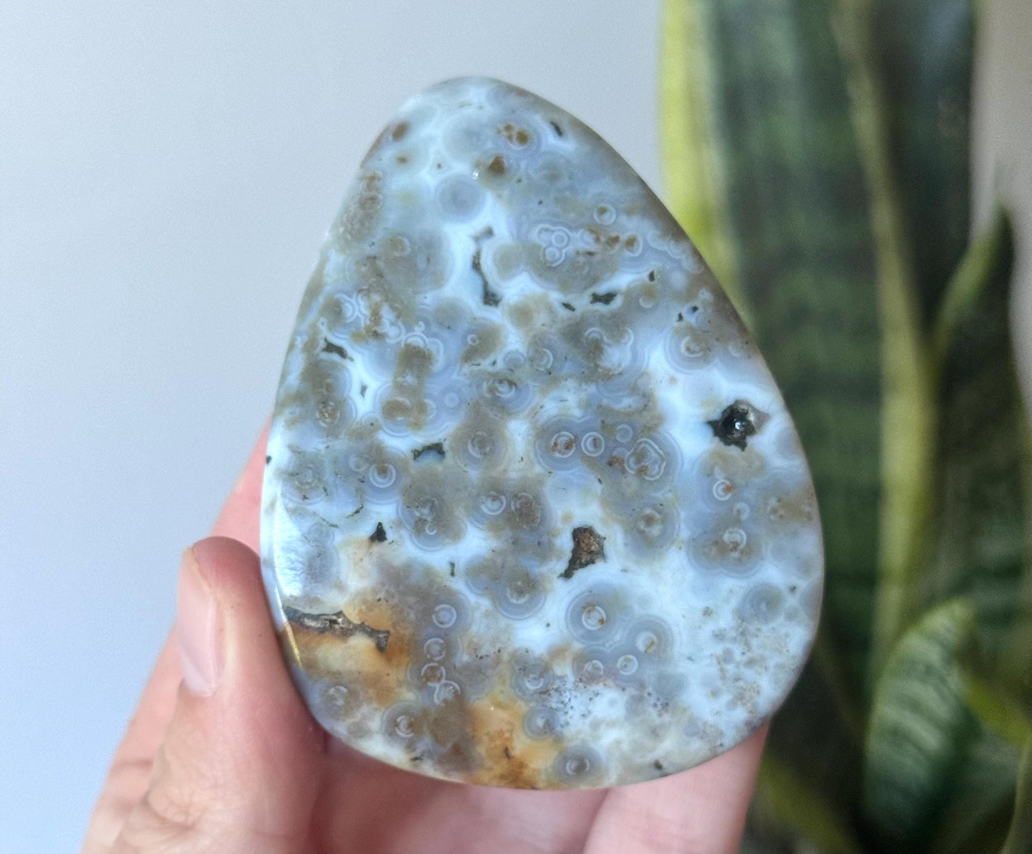 Beautiful Veinless Ocean Jasper Palm Stone from Madagascar