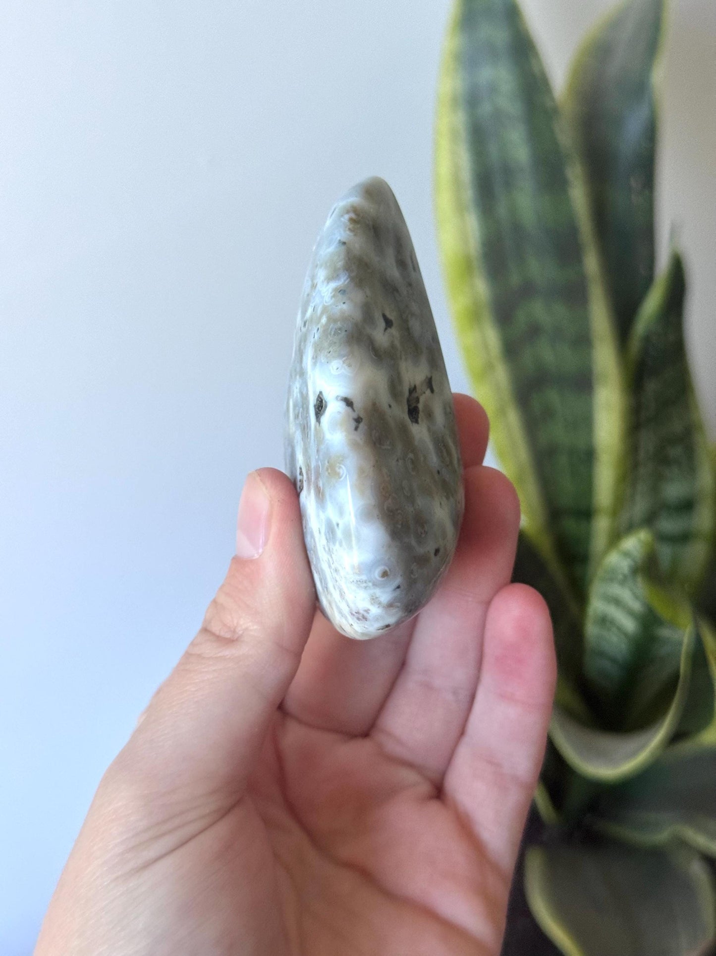 Beautiful Veinless Ocean Jasper Palm Stone from Madagascar