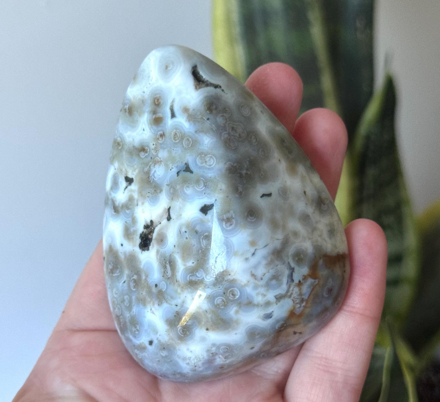 Beautiful Veinless Ocean Jasper Palm Stone from Madagascar