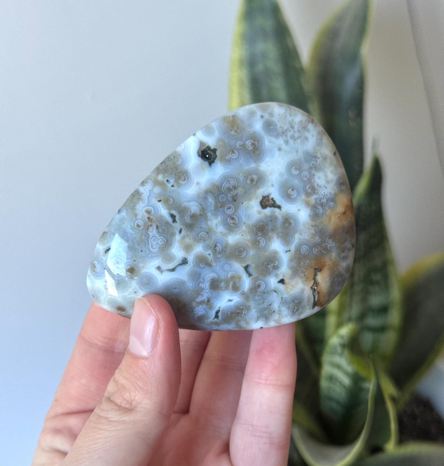 Beautiful Veinless Ocean Jasper Palm Stone from Madagascar