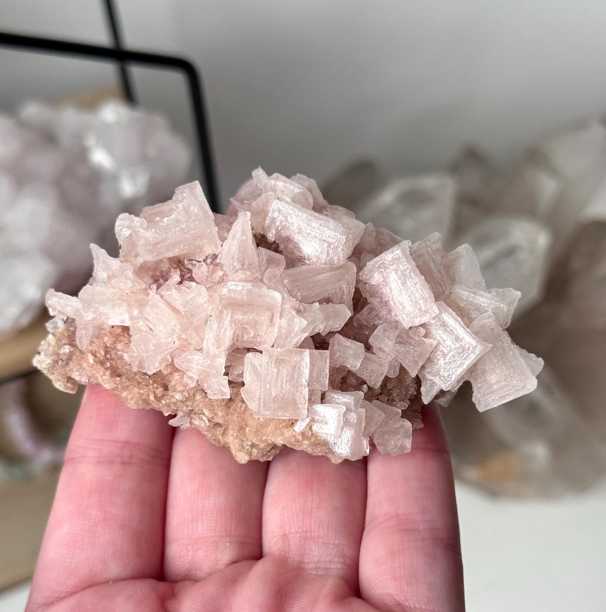 Gorgeous Pink Halite on Trona from Owen’s Lake California | Rare Pink Halite Specimen