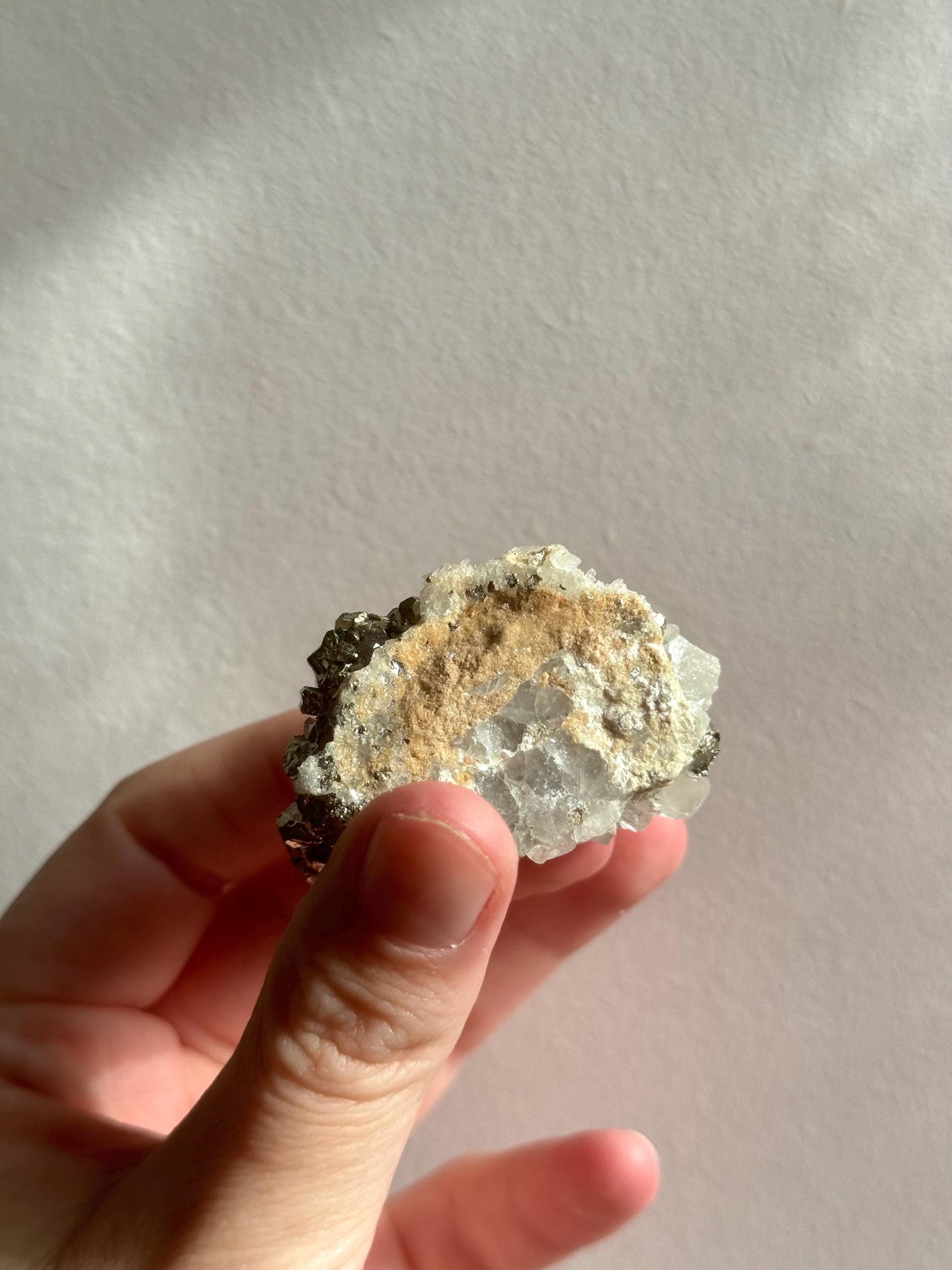 High Quality Caribbean Calcite Palm Stone Carribean Calcite Palmstone #4