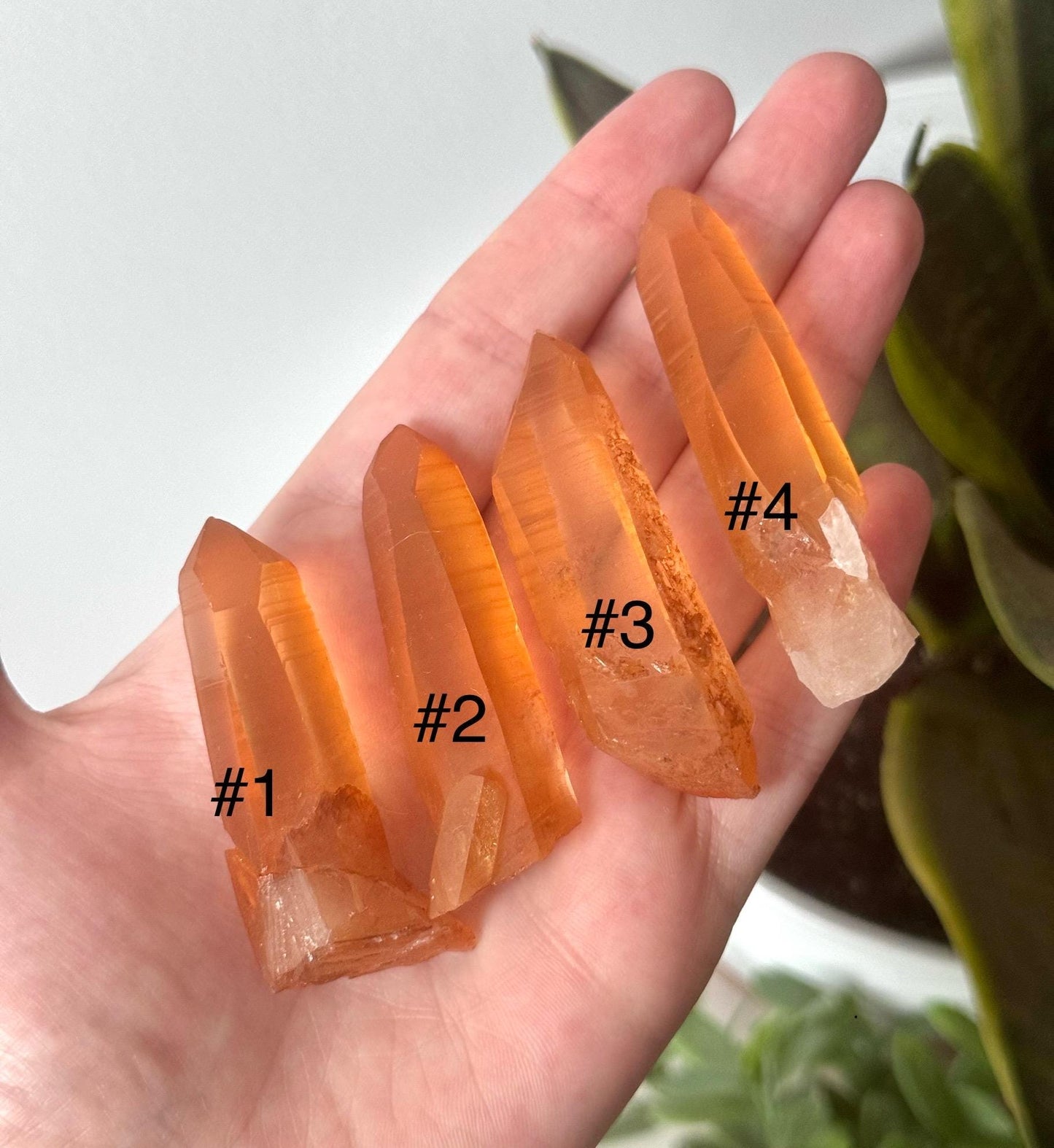 Stunning Tangerine Lemurian Quartz Points from Brazil | Raw Lemurian Tangerine Quartz Points