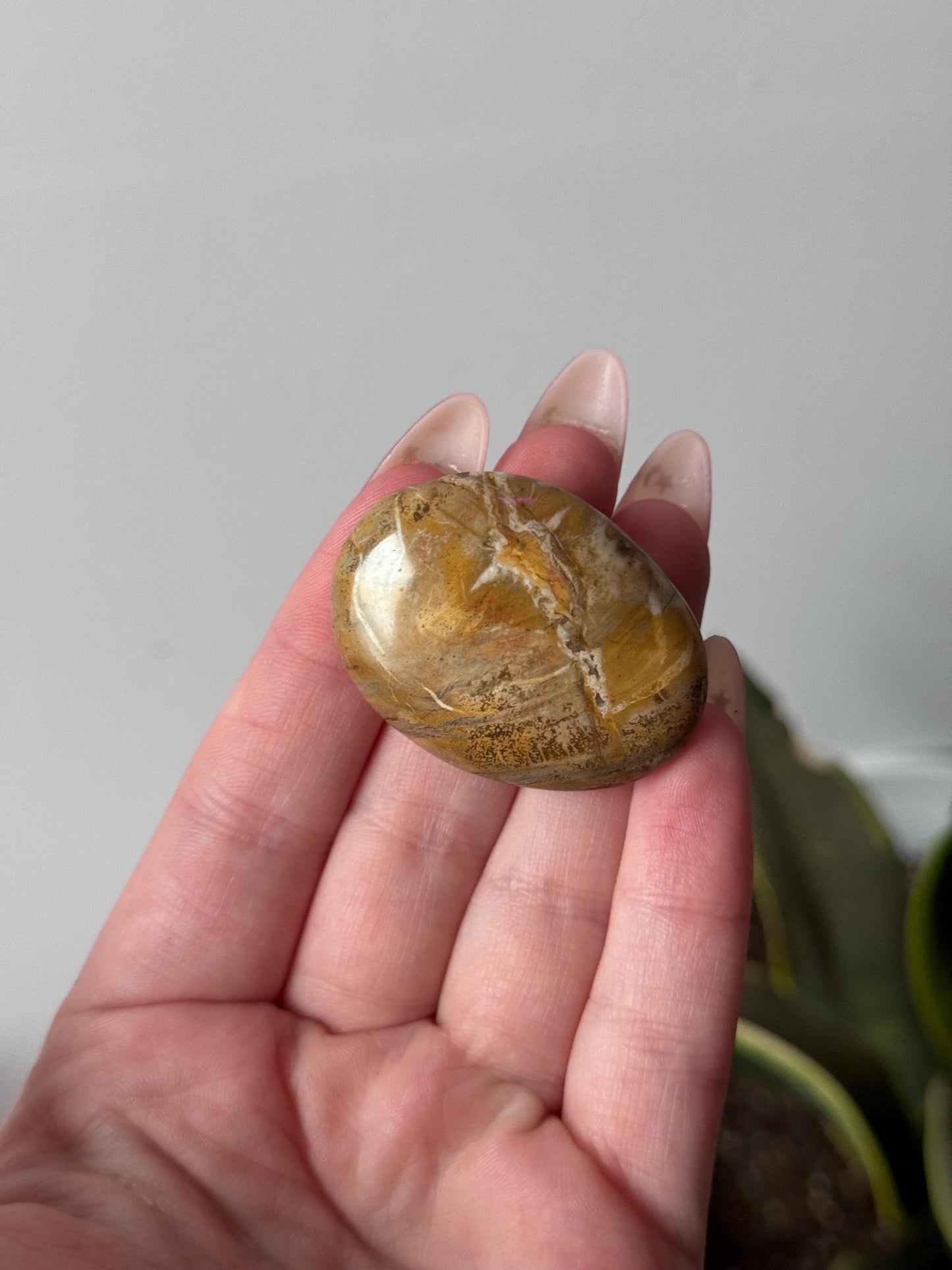 Beautiful Petrified Wood Palm Stones | You Choose Petrified Wood Pocket Stones