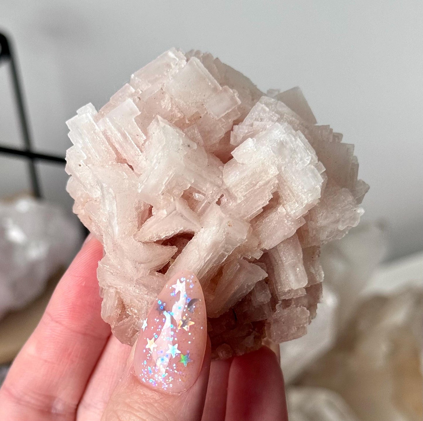 Gorgeous Pink Halite on Trona from Owen’s Lake California | Rare Pink Halite Specimen