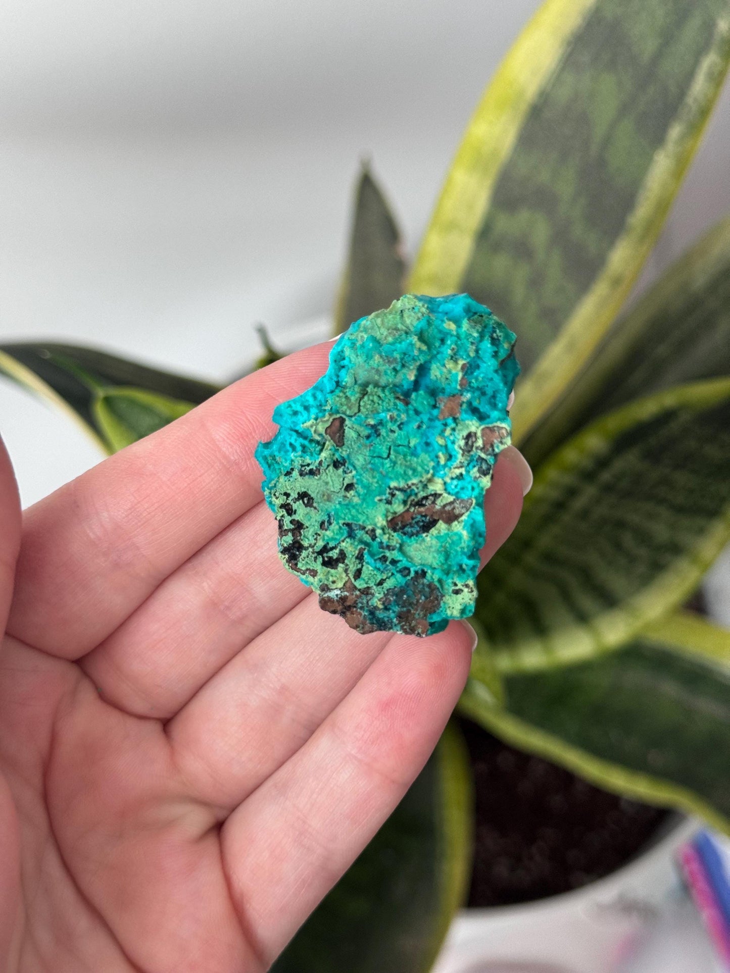 Beautiful Chrysocolla Specimen from Cunyari Mine in Peru | Cunyari Chrysocolla
